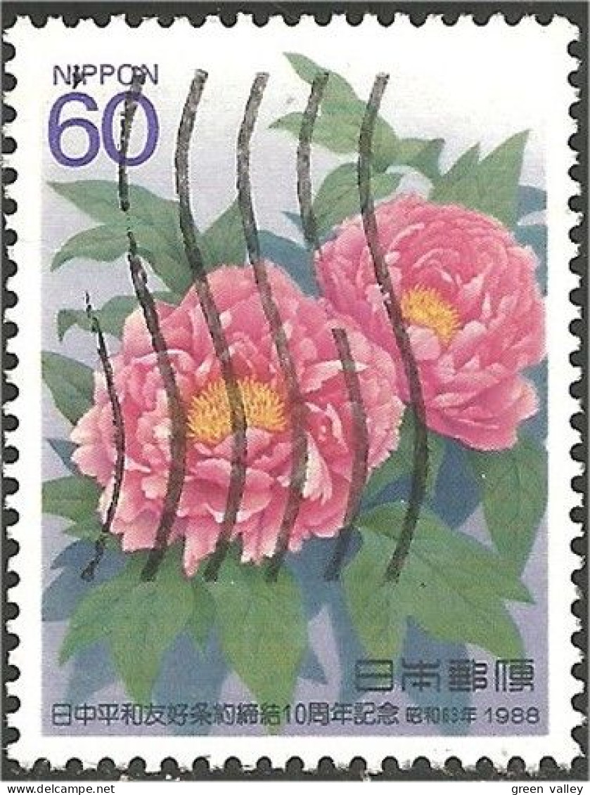 JAP-198 Japon Peony Pivoine - Otros & Sin Clasificación