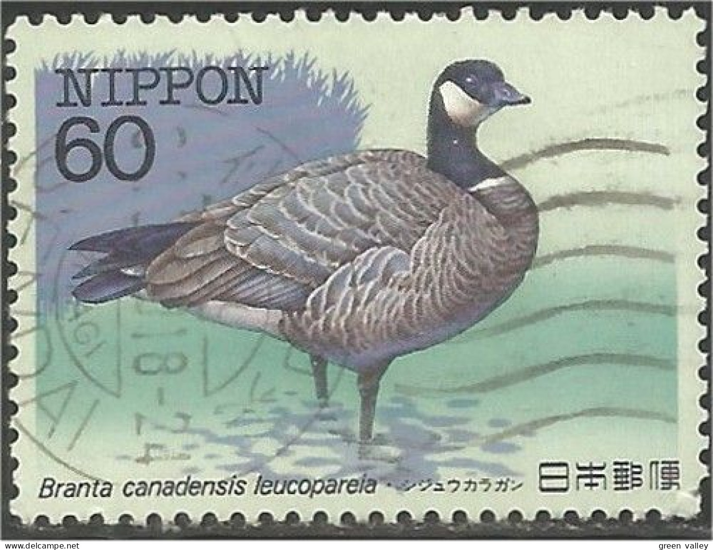 JAP-036 Japon Oiseau Bird Vogel Uccello Oie Goose Geese Gans Oca Ganso - Oche