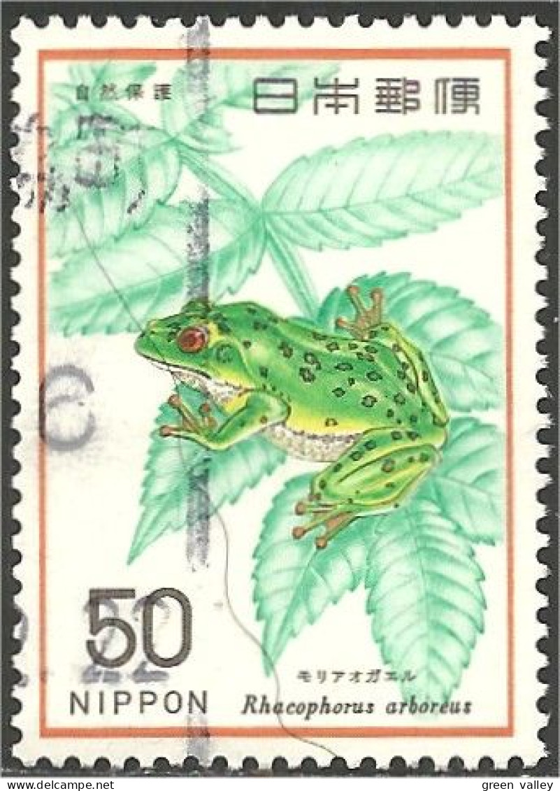 JAP-692 Japon Grenouille Frog Rana Frosch - Frösche