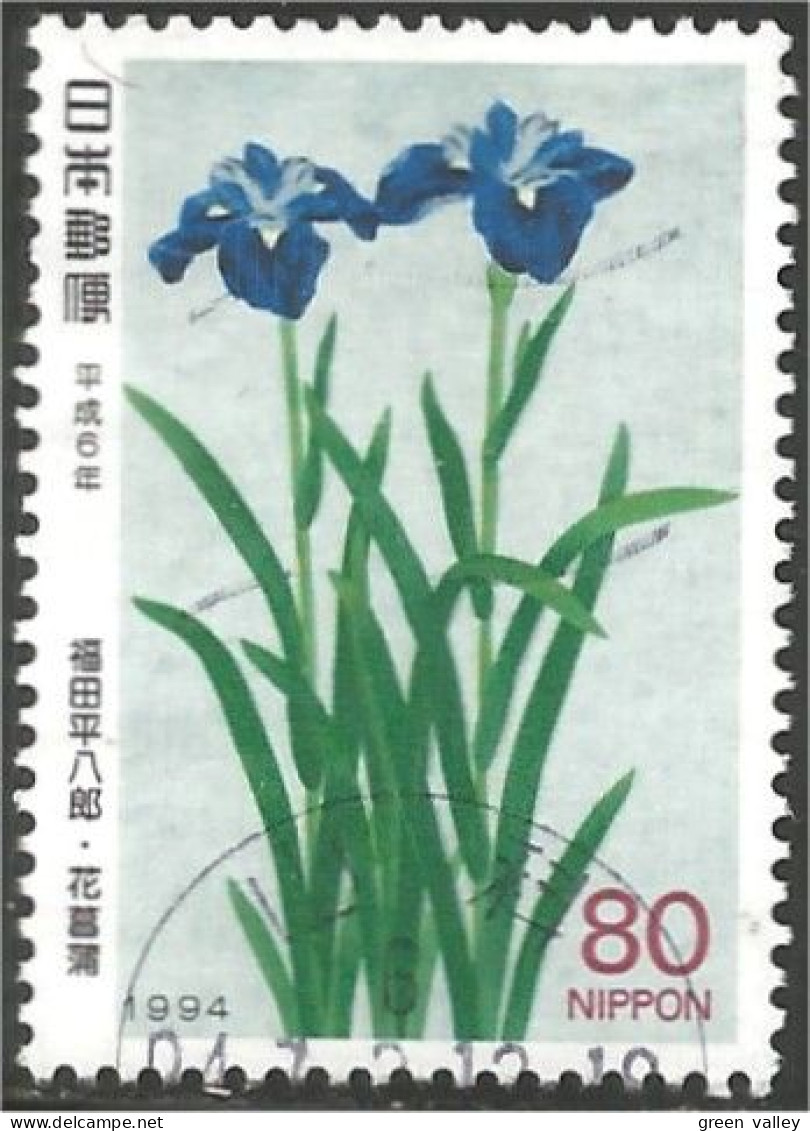 JAP-594 Japon Fleur Flower Blume Iris - Autres & Non Classés