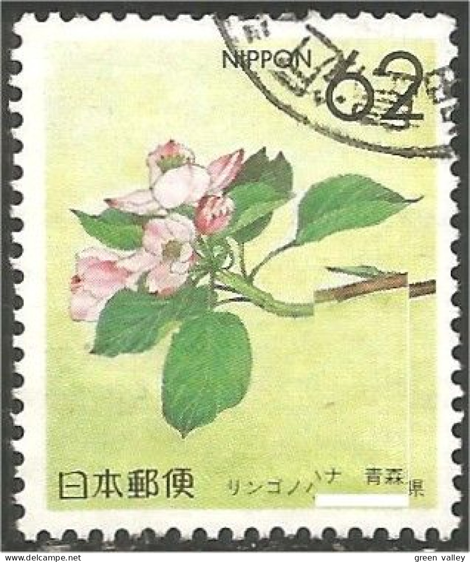 JAP-575 Japon Fleur Flower Blume Fiore Flor - Other & Unclassified