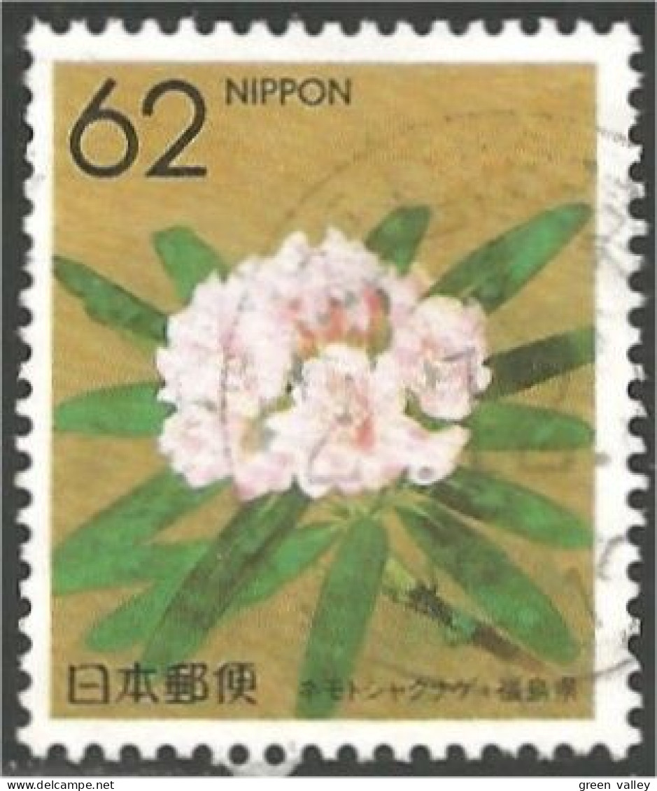 JAP-578 Japon Fleur Flower Blume Fiore Flor - Other & Unclassified