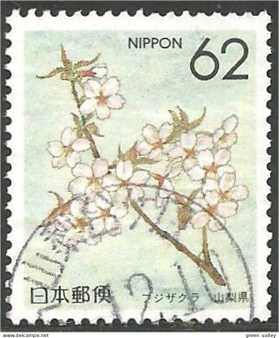 JAP-574 Japon Fleur Flower Blume Fiore Flor - Other & Unclassified