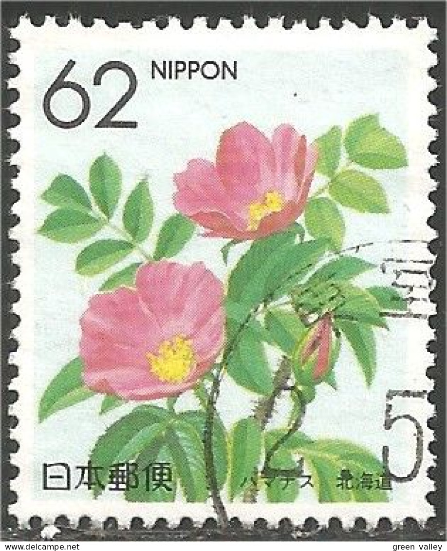 JAP-570 Japon Fleur Flower Blume Fiore Flor - Other & Unclassified