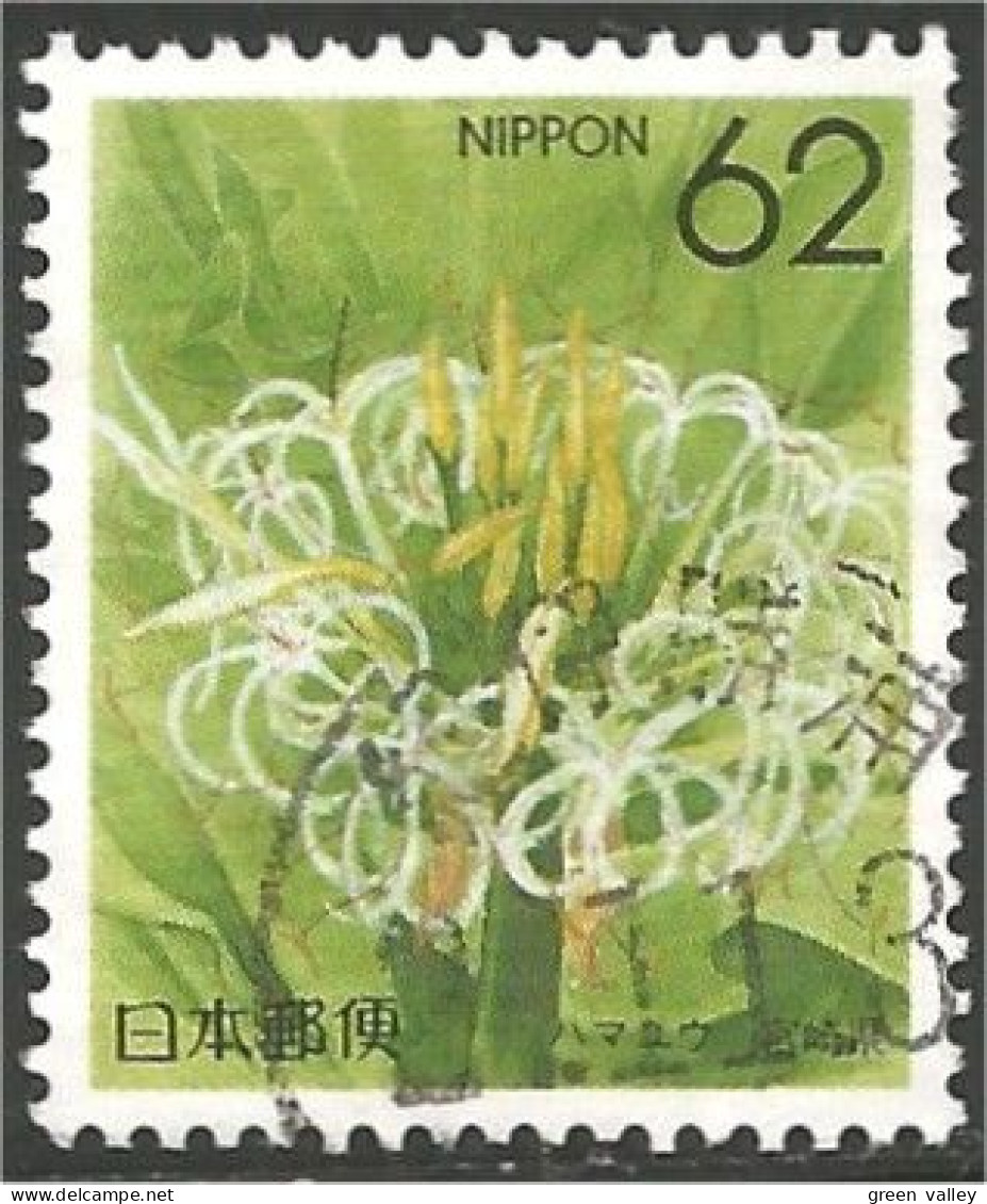 JAP-568 Japon Fleur Flower Blume Fiore Flor - Other & Unclassified