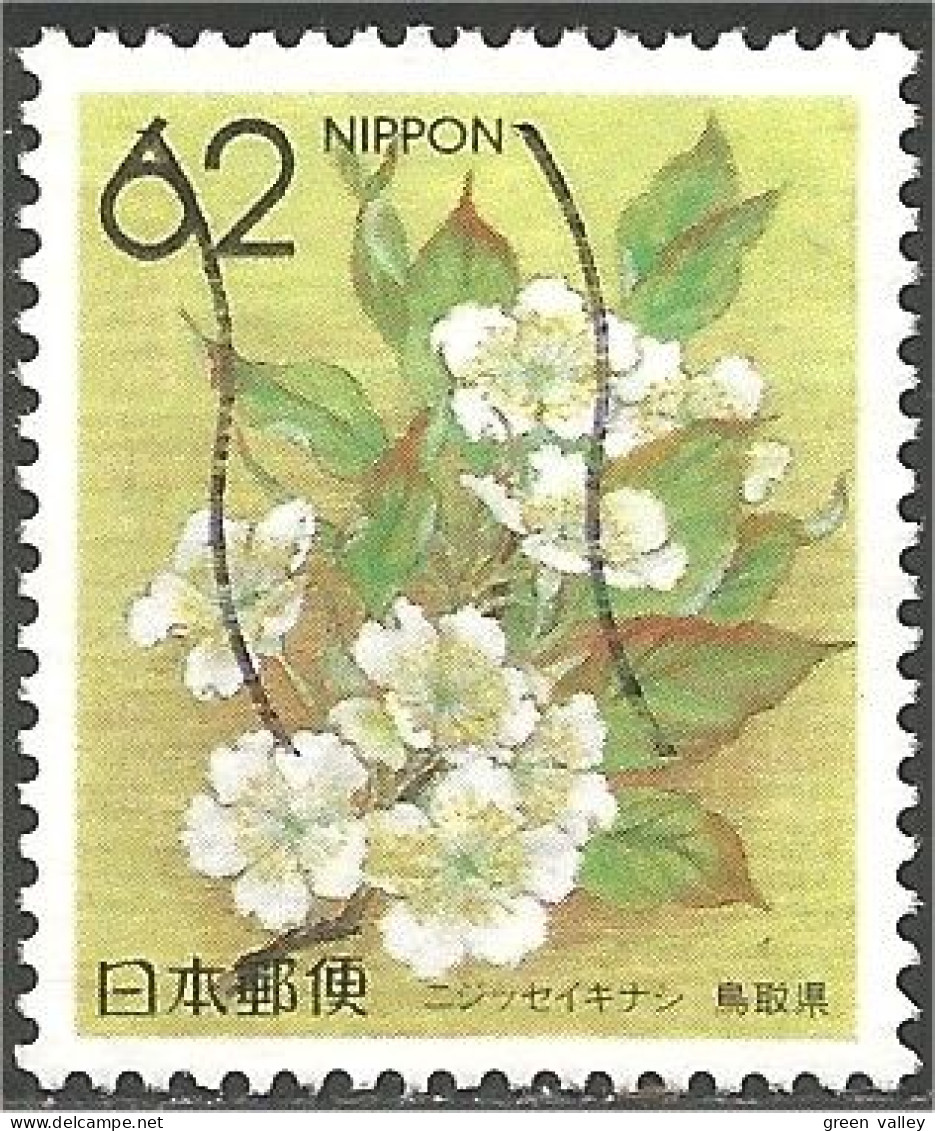 JAP-565 Japon Fleur Flower Blume Fiore Flor - Other & Unclassified