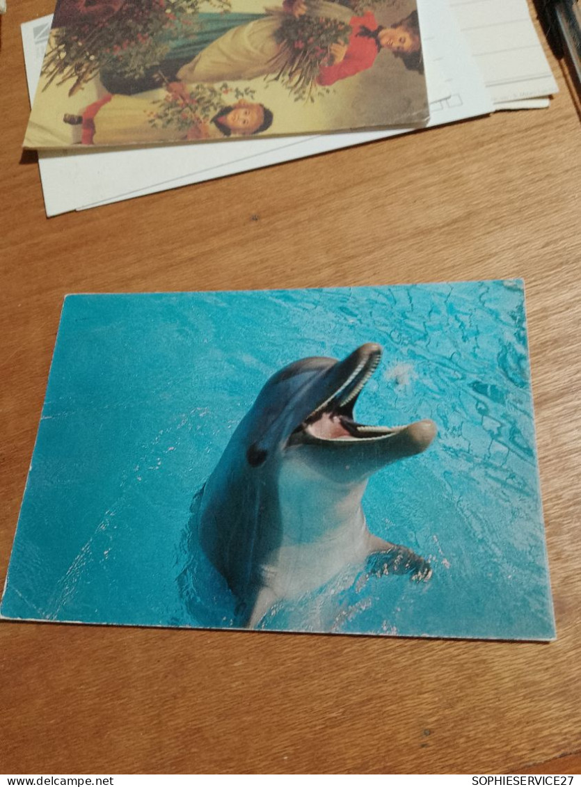 550 //  DAUPHIN - Dolfijnen