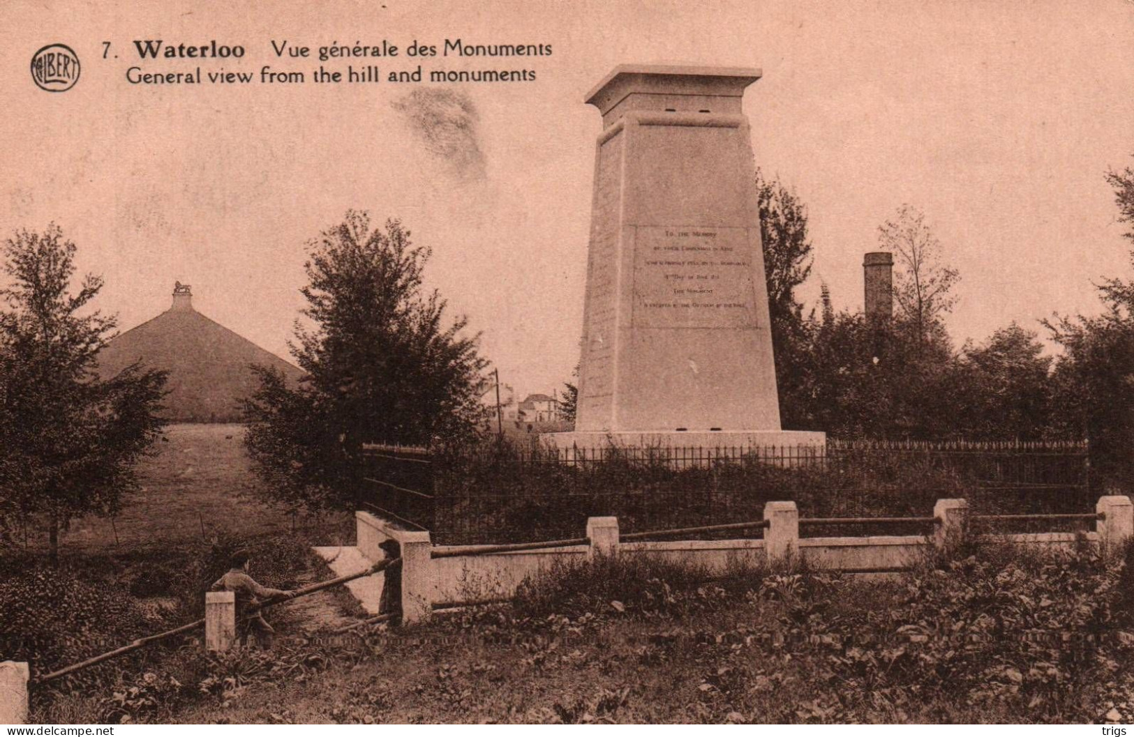 Waterloo - Vue Générale Des Monuments - Waterloo