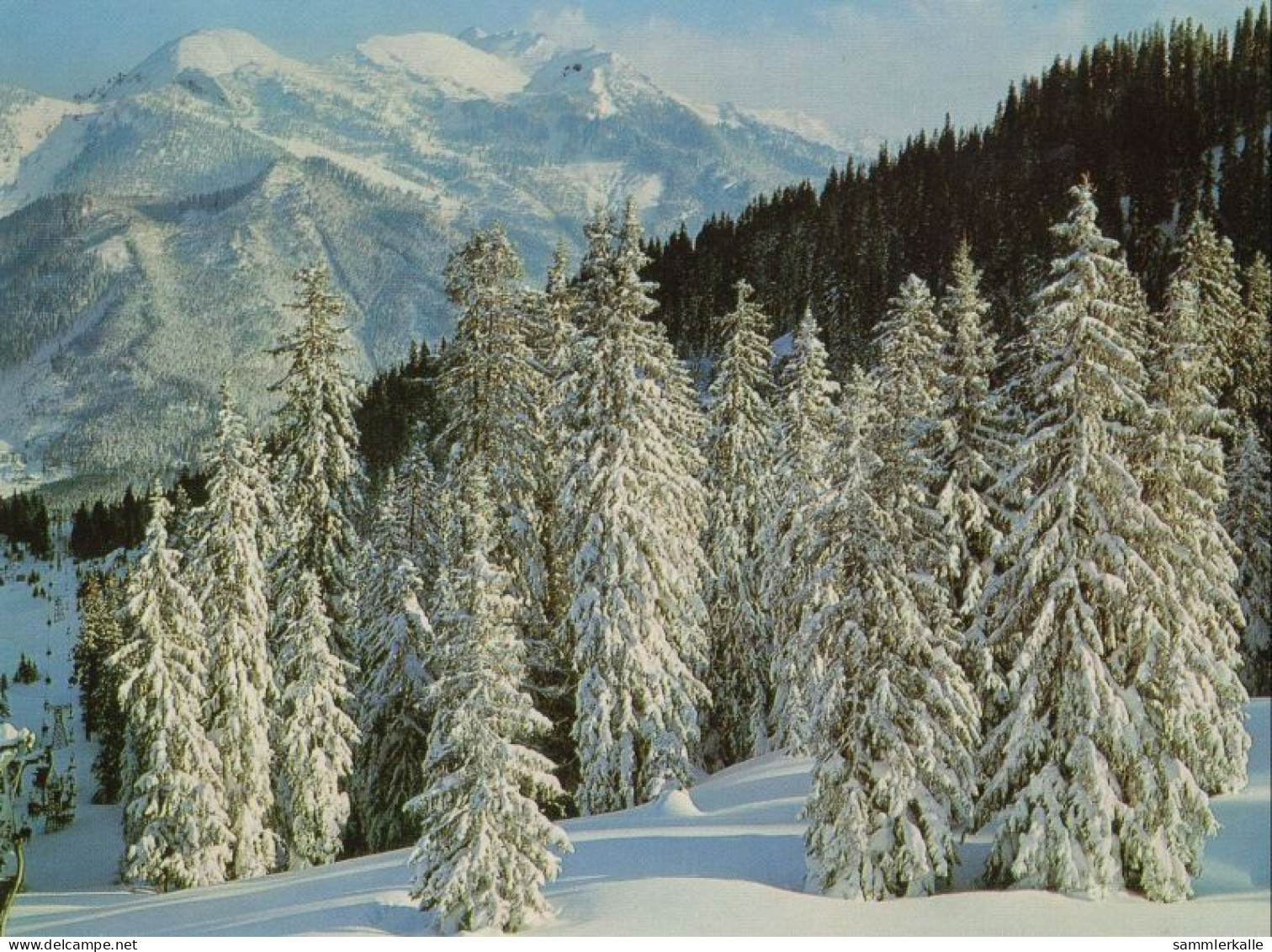 132371 - Spitzingsee - Blick VomStümpflinghaus - Schliersee