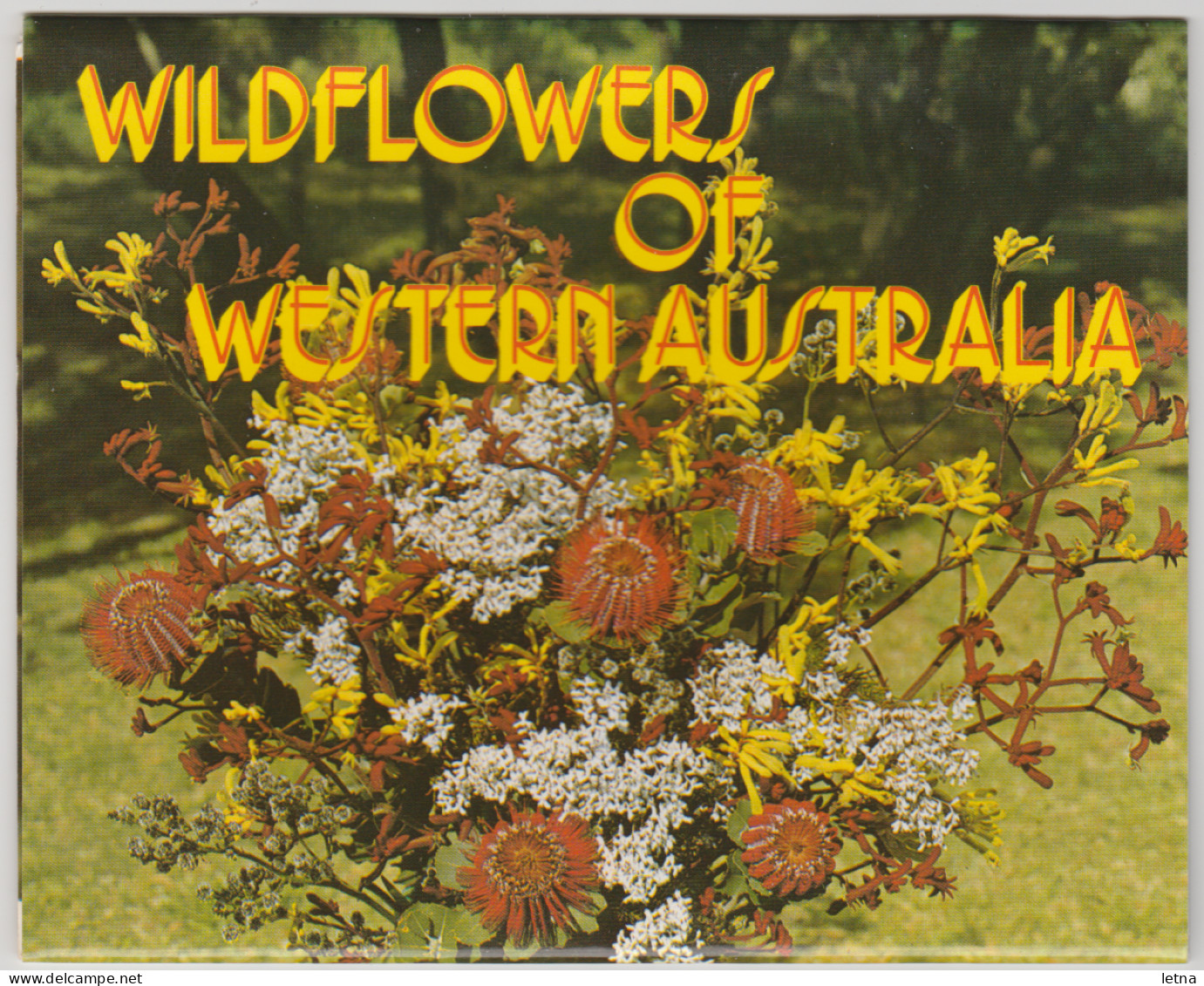 WESTERN AUSTRALIA WA PITT Souvenirs Folder WILDFLOWERS 11 Postcard Views C1980s - Andere & Zonder Classificatie