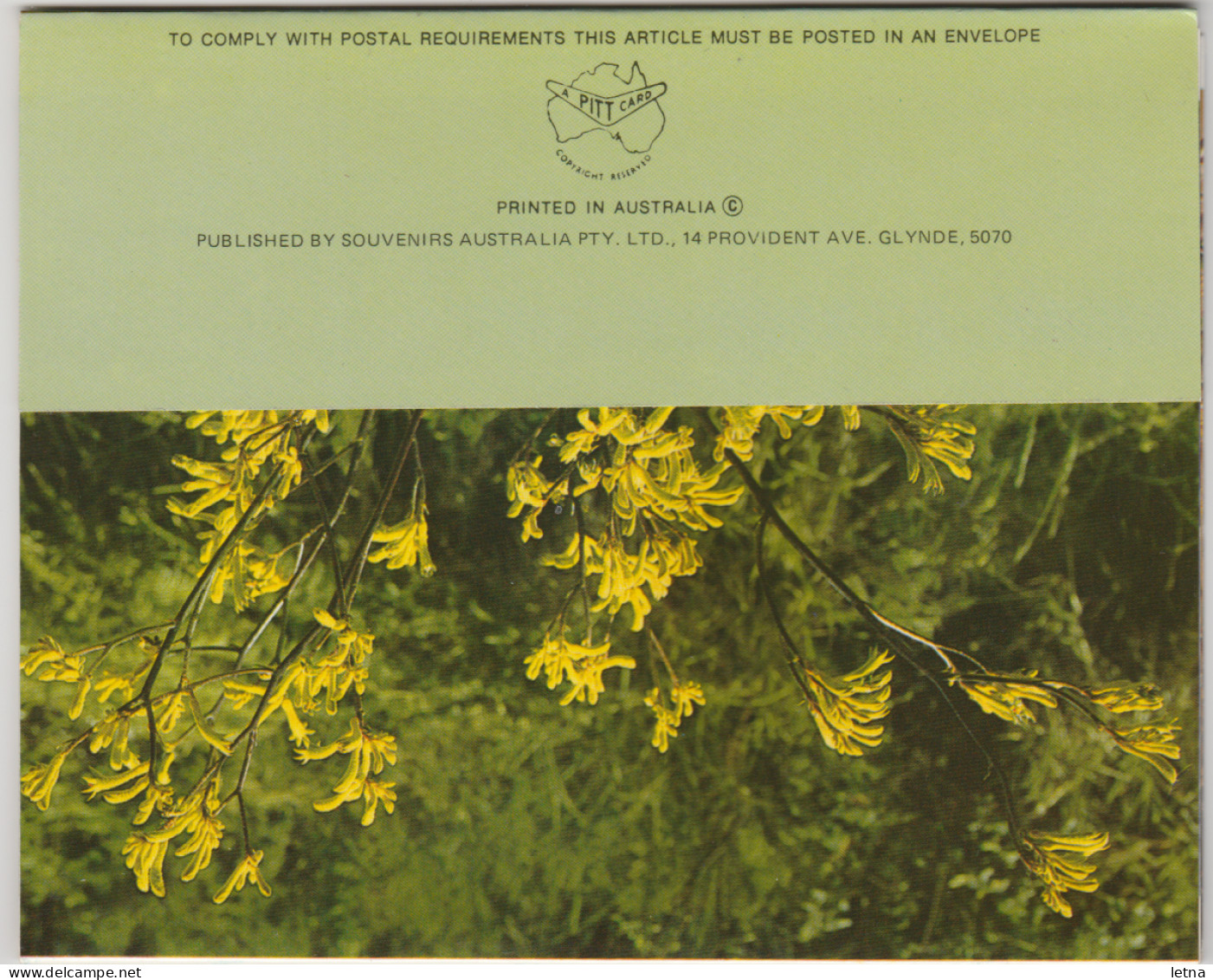 WESTERN AUSTRALIA WA PITT Souvenirs Folder WILDFLOWERS 11 Postcard Views C1980s - Other & Unclassified