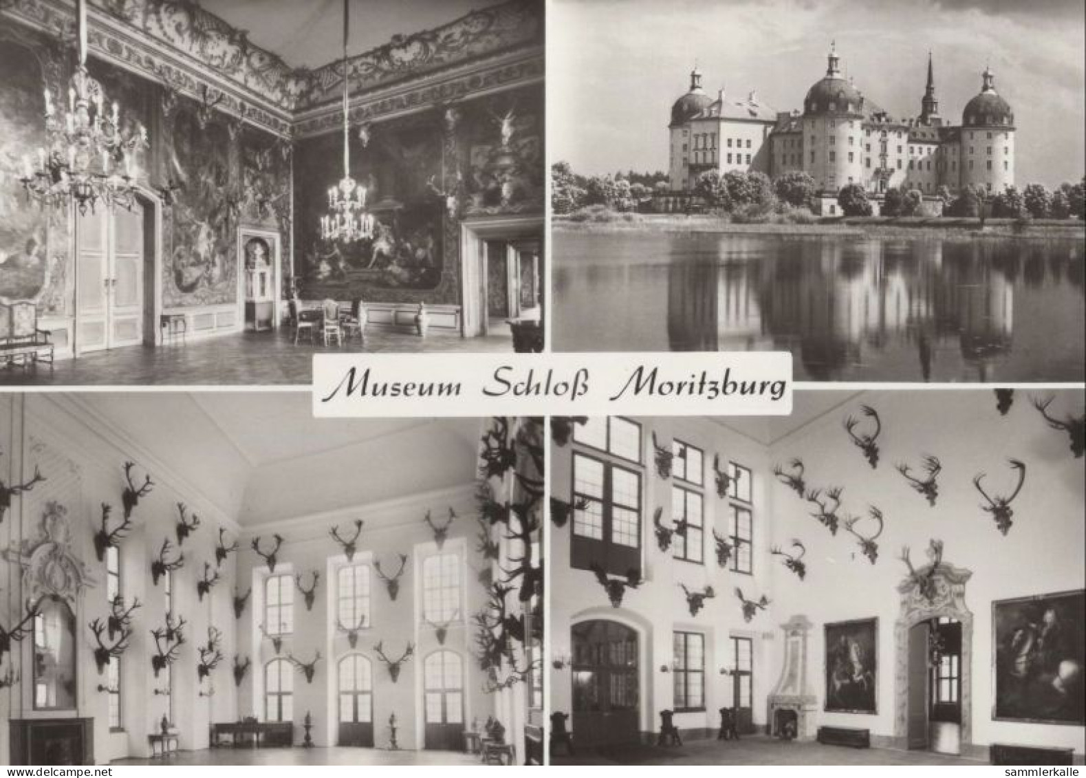 126136 - Moritzburg Bei Dresden - Schloss - Moritzburg