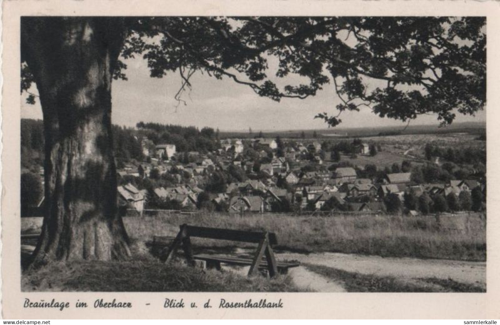 85414 - Braunlage - Blick Von Der Rosenthalbank - Ca. 1955 - Braunlage