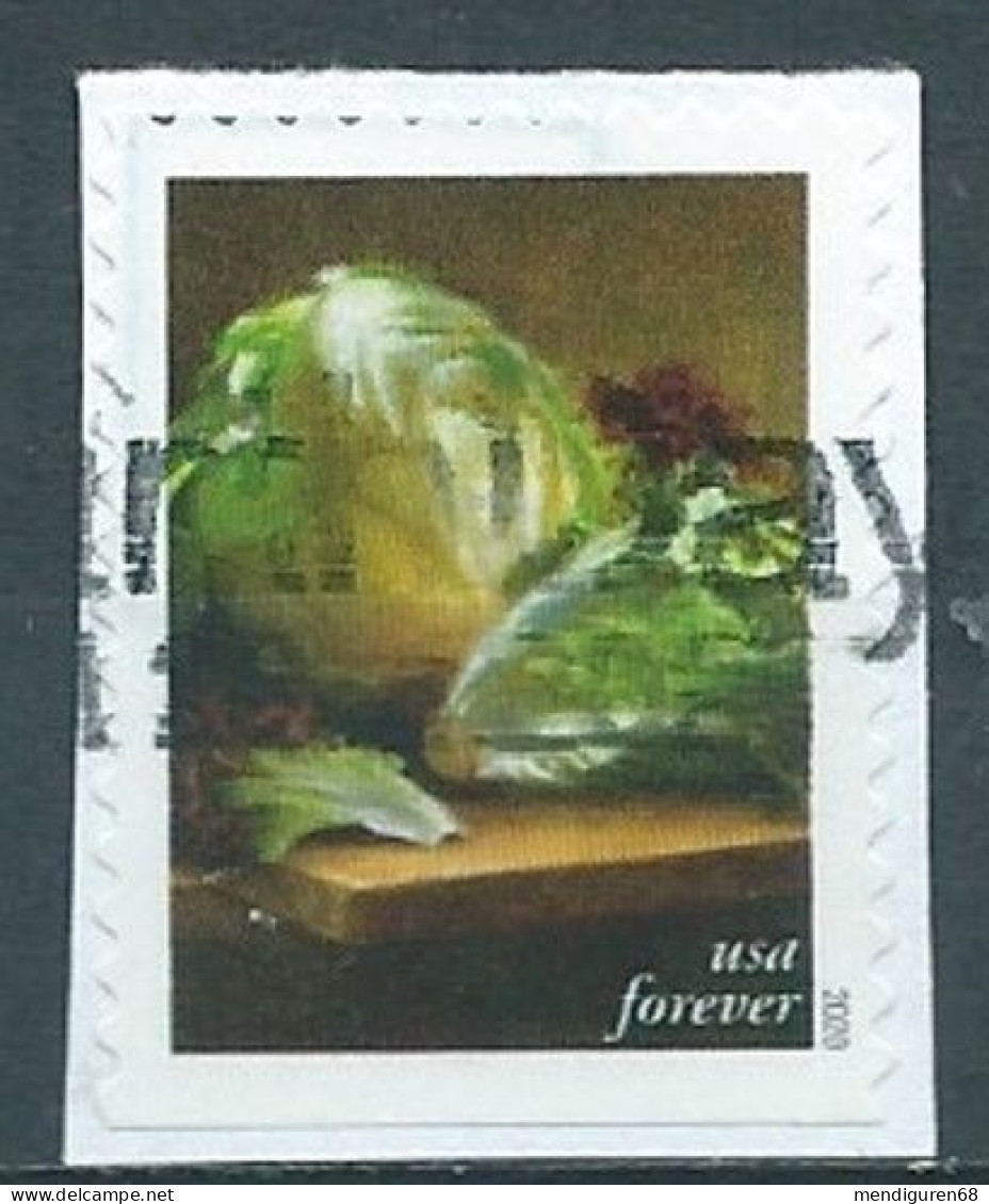 VEREINIGTE STAATEN ETATS UNIS USA 2020 FRUITS AND VEGETABLES: LETTUCE F USED ON PAPER SN 5490 MI 5728 YT 5337 SN 6105 - Used Stamps