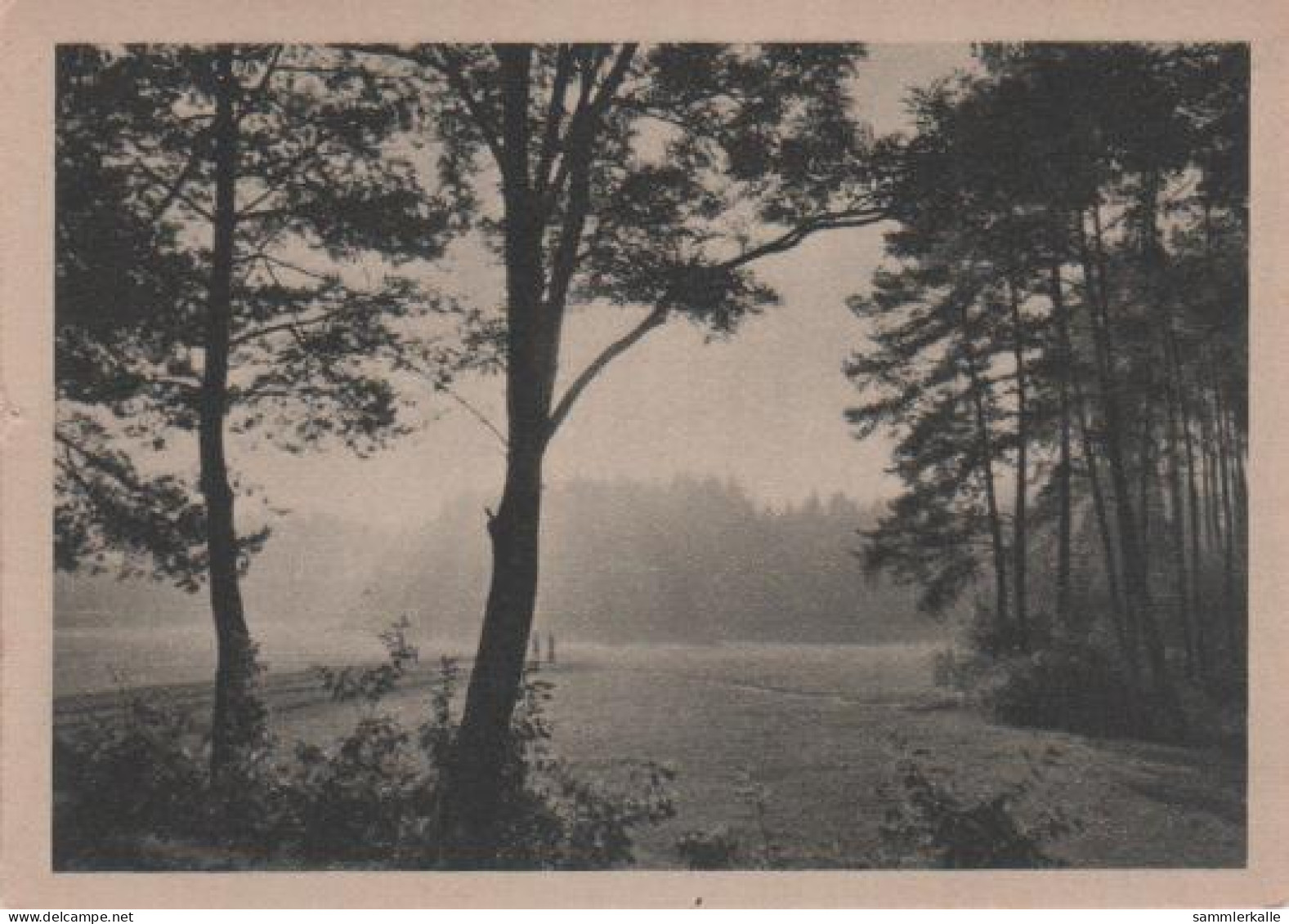 5086 - Waldlanschaft - Ca. 1935 - Carte Geografiche