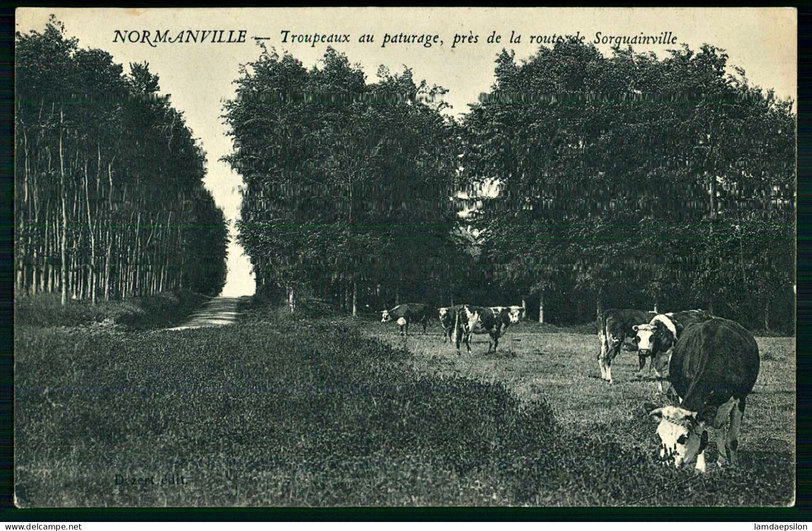 A69  FRANCE CPA NORMANVILLE - TROUPEAUX AU PATURAGE PRES DE LA ROUTE DE SORQUAINVILLE - Verzamelingen & Kavels