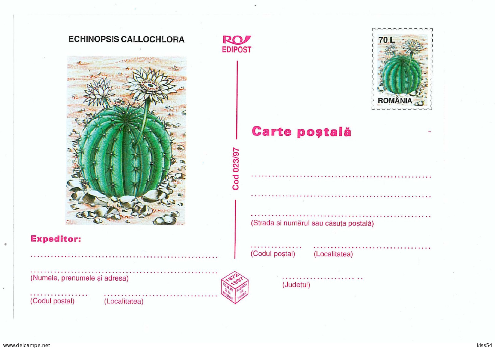 IP 97 - 23 CACTUS, Romania - Stationery - Unused - 1997 - Postal Stationery