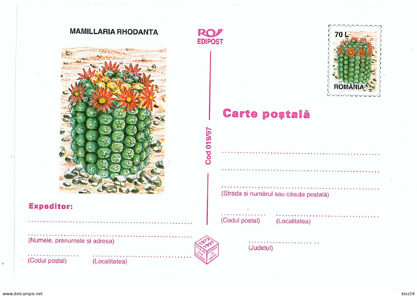 IP 97 - 19 CACTUS, Romania - Stationery - Unused - 1997 - Entiers Postaux