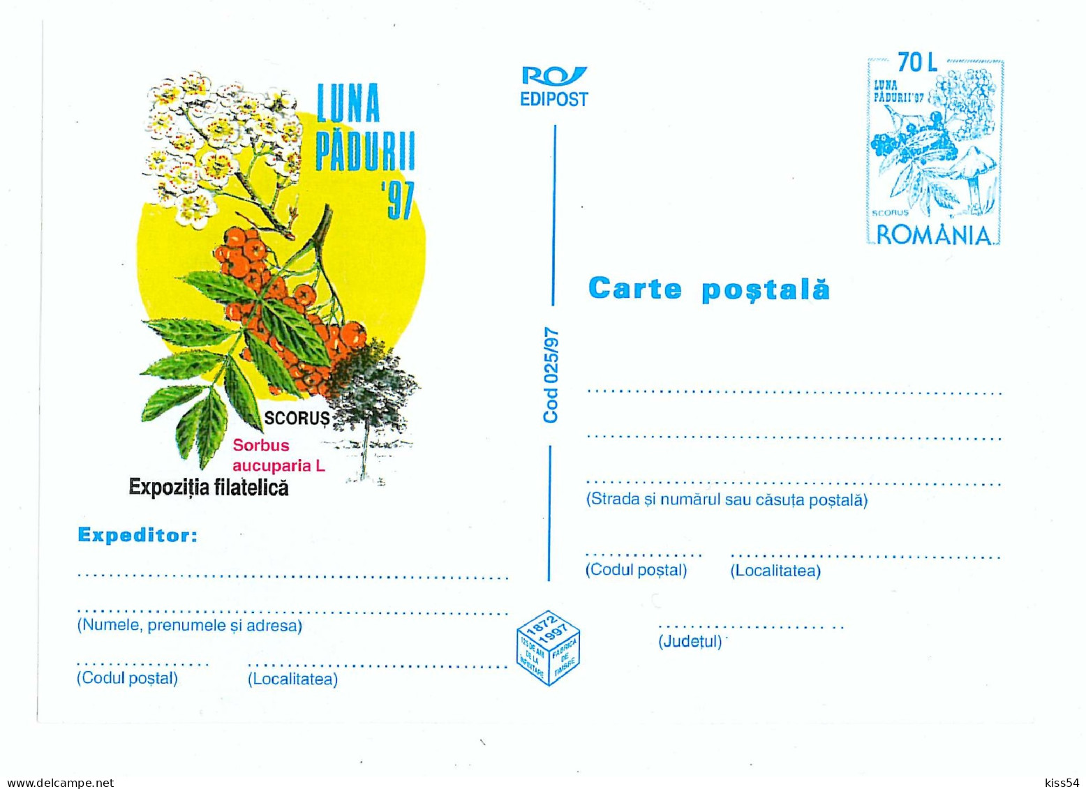 IP 97 - 25 Month Forrest, Romania - Stationery - Unused - 1997 - Postal Stationery