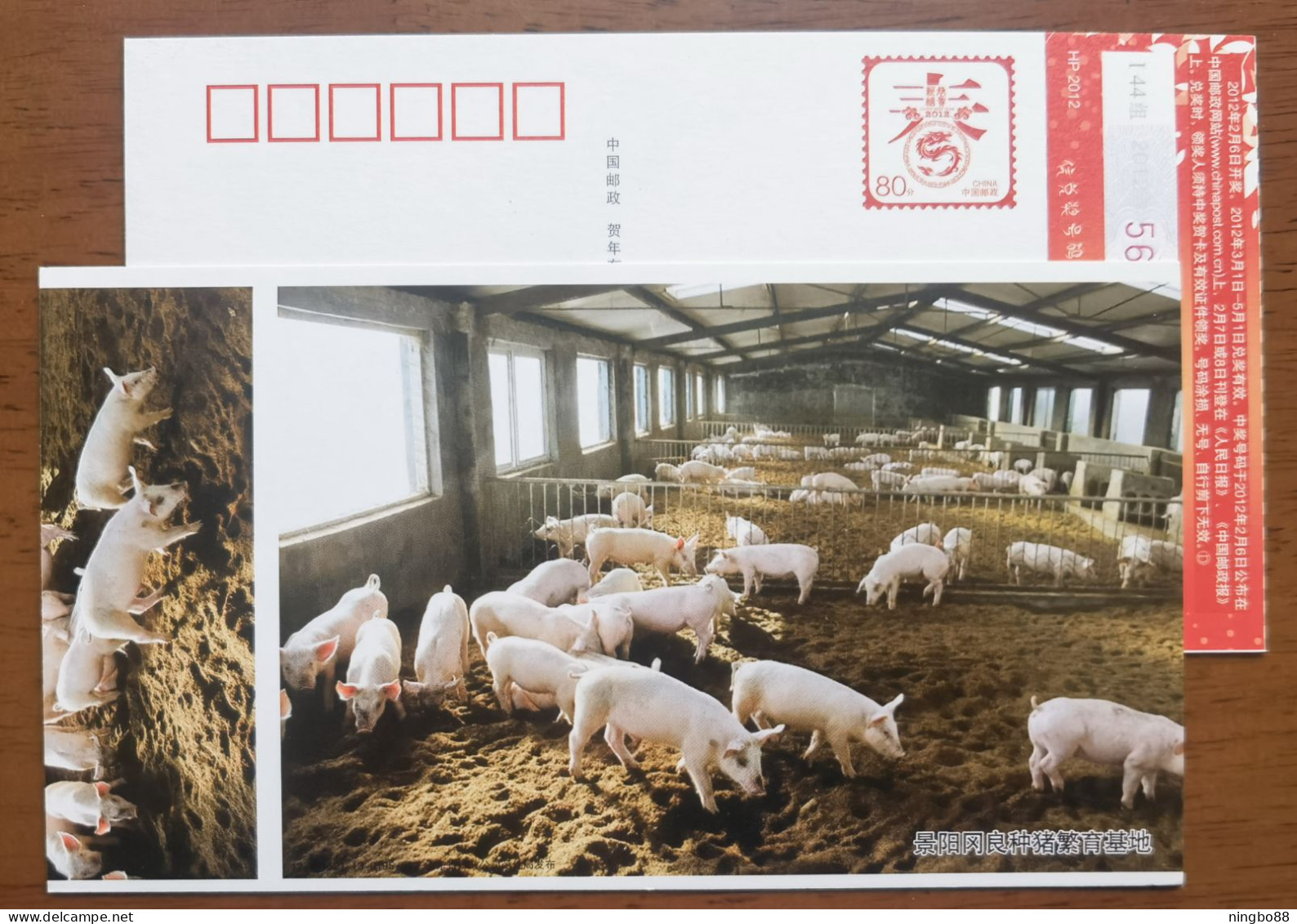 Pig Farm,China 2012 Yanggu County Jingyanggng Breeding Base For High-quality Pigs Advertising Pre-stamped Card - Fattoria