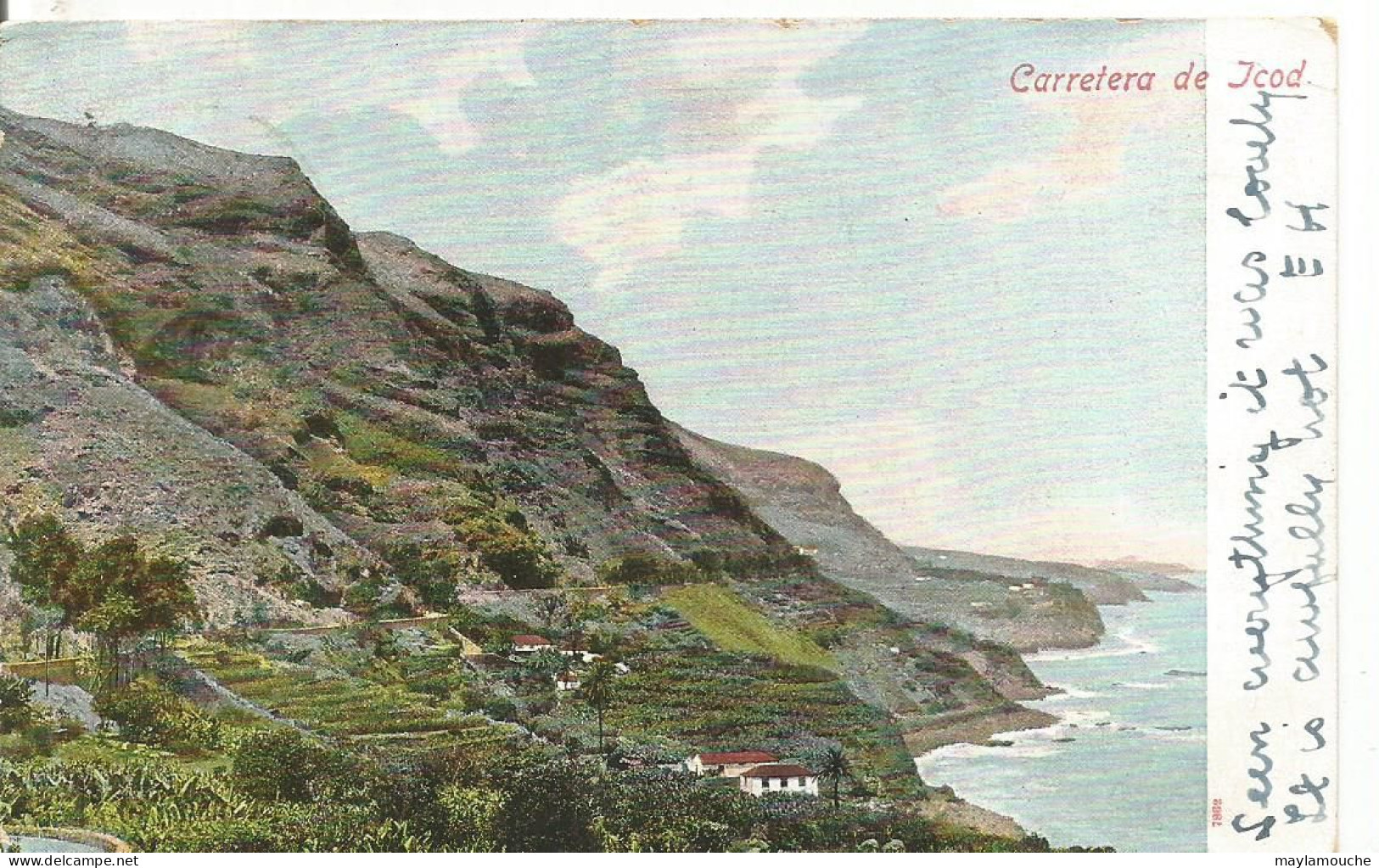 Icod  Santa Cruz Tenerife (bt - Tenerife