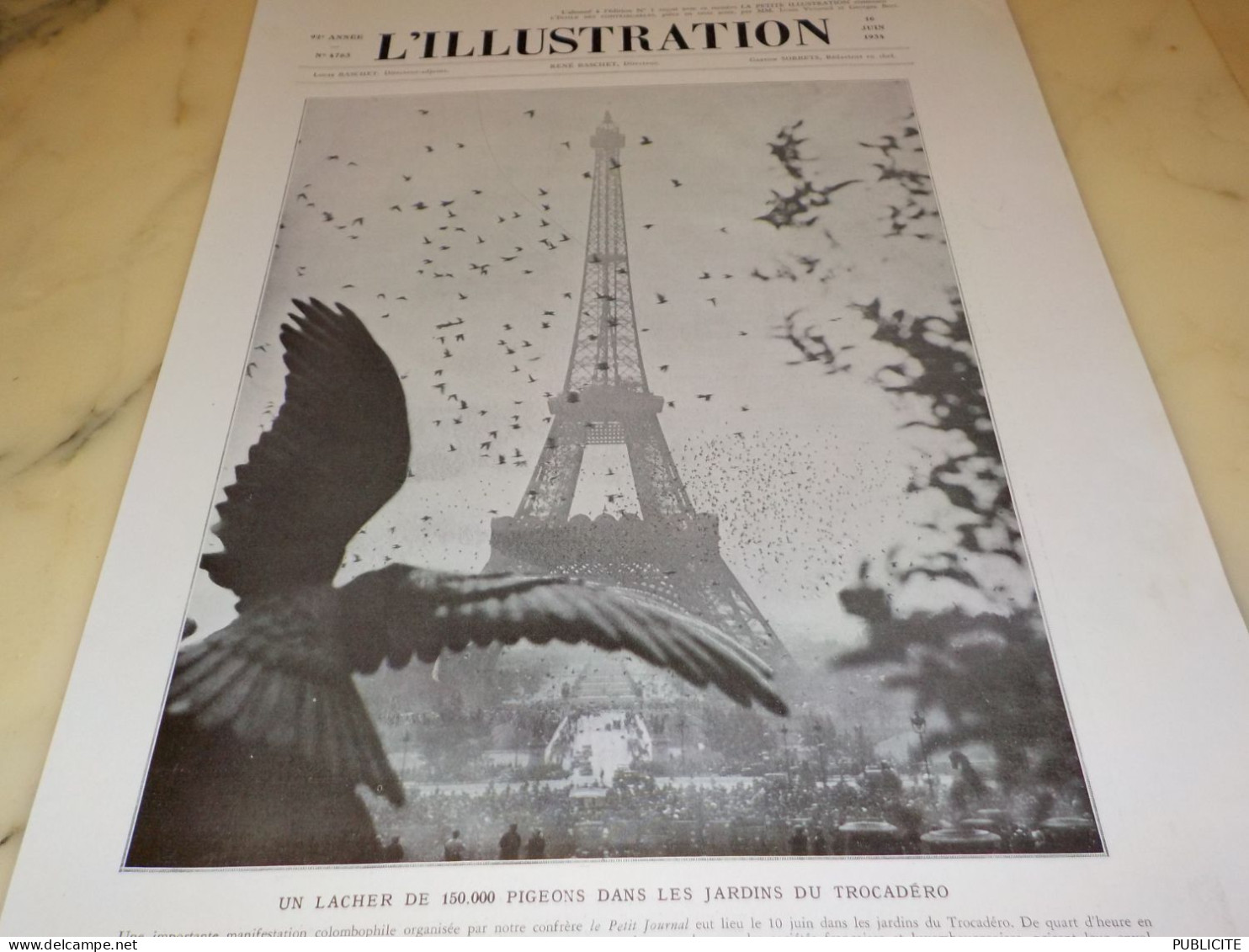 PHOTO  LACHER DE 150.000  PIGEON TROCADERO PARIS 1934 - Unclassified