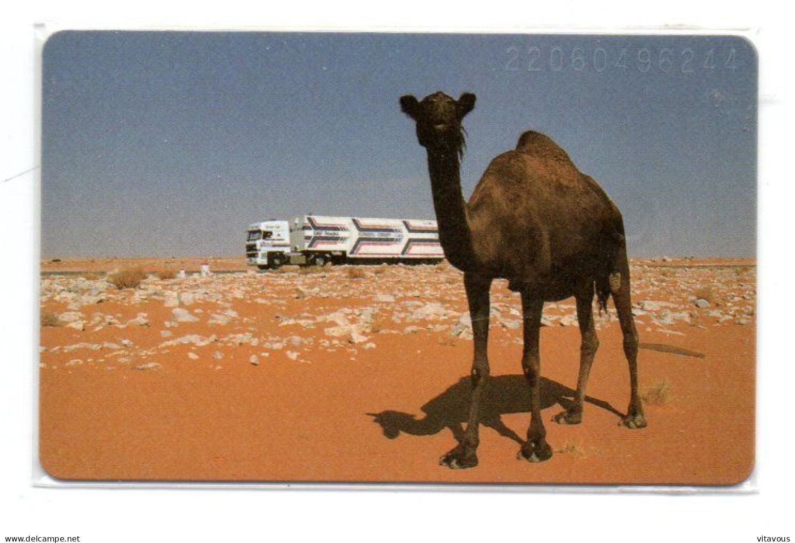 Chameau Camel Animal   Télécarte Allemagne Phonecard Telefonkarte (K 73) - K-Reeksen : Reeks Klanten