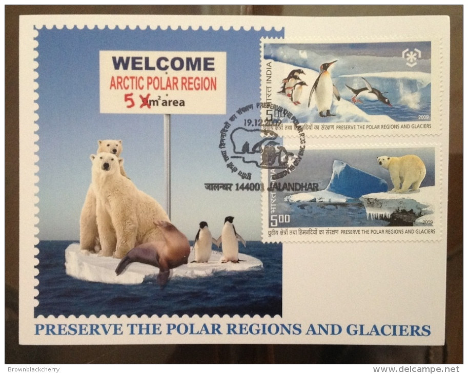 Maxi Card - Antartica Bear Penguin Save Polar Region Sea Mammal - Pinguine