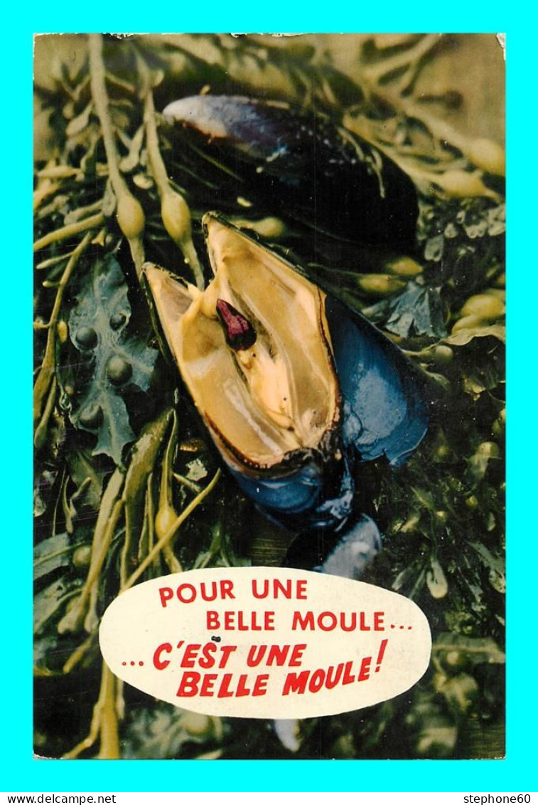 A951 / 411  Animaux Humoristiques - Moule - Pesci E Crostacei