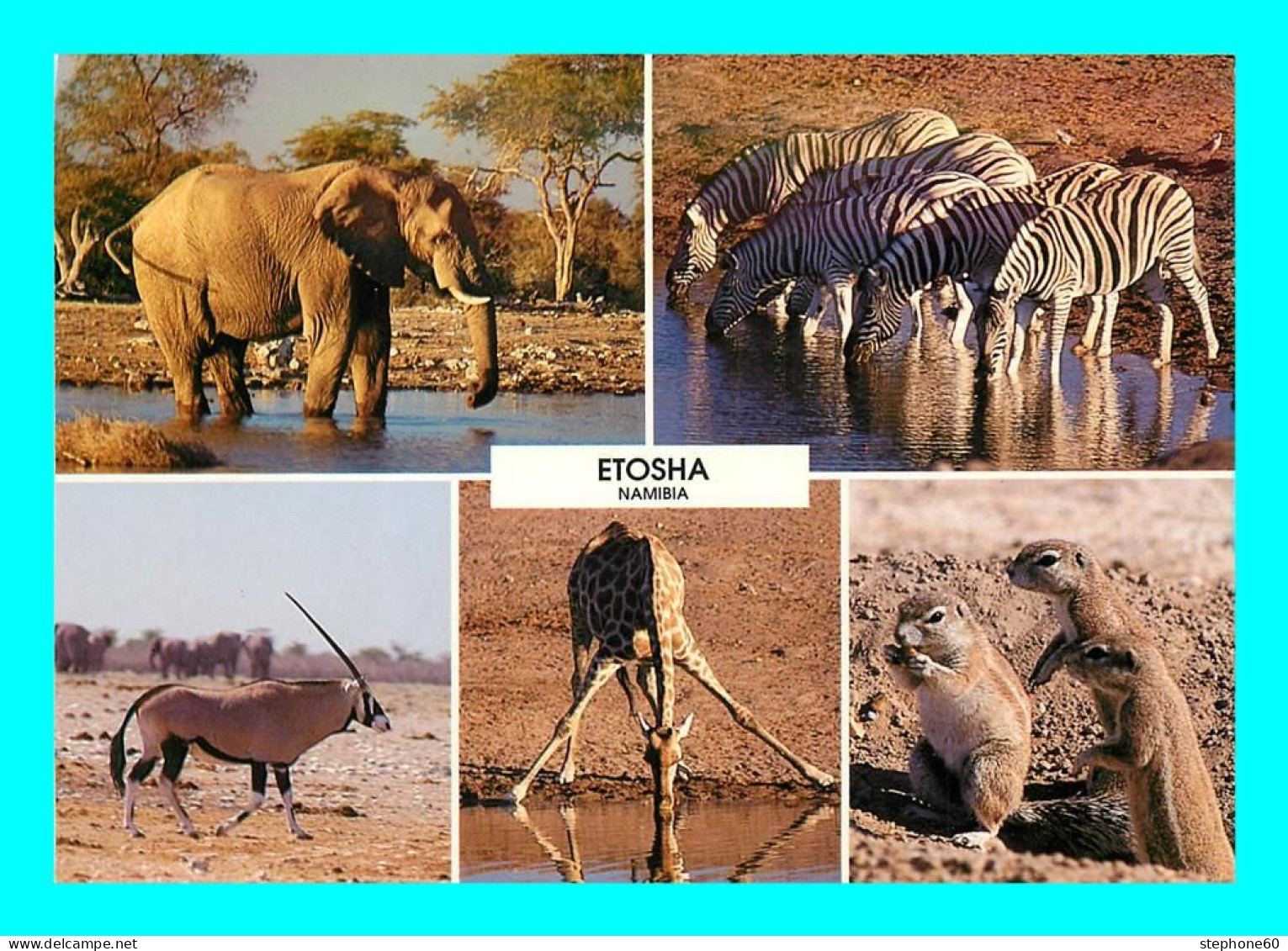 A947 / 081 NAMIBIE ETOSHA NAMIBIA Elephant Zebre Giraffe - Multivues - Namibia