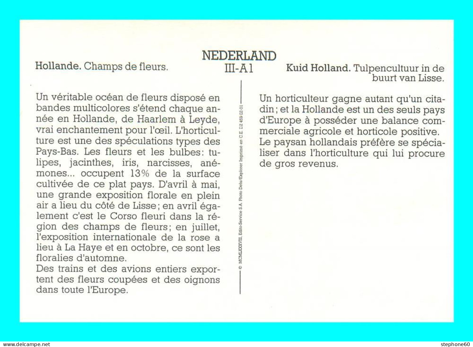 A948 / 613  Hollande Champs De Fleurs - Other & Unclassified