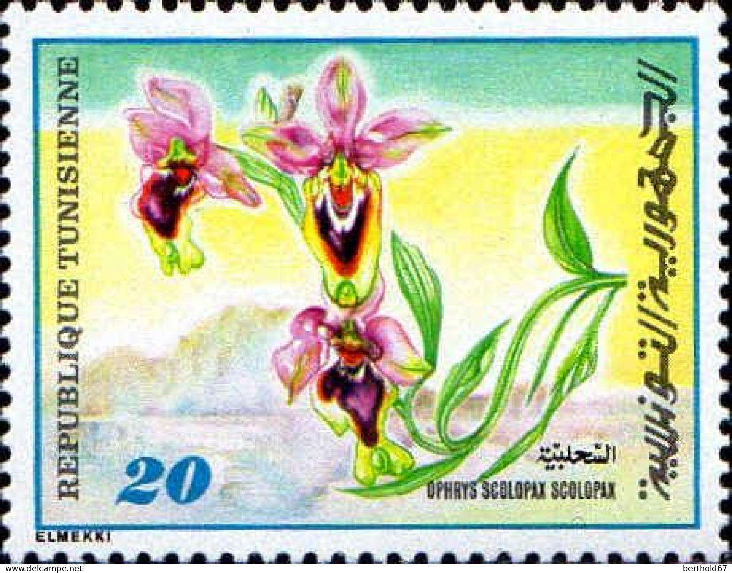 Tunisie (Rep) Poste N** Yv: 923 Mi:986 Ophrys Scolopax Scolopax Ochidée (Thème) - Orchideeën