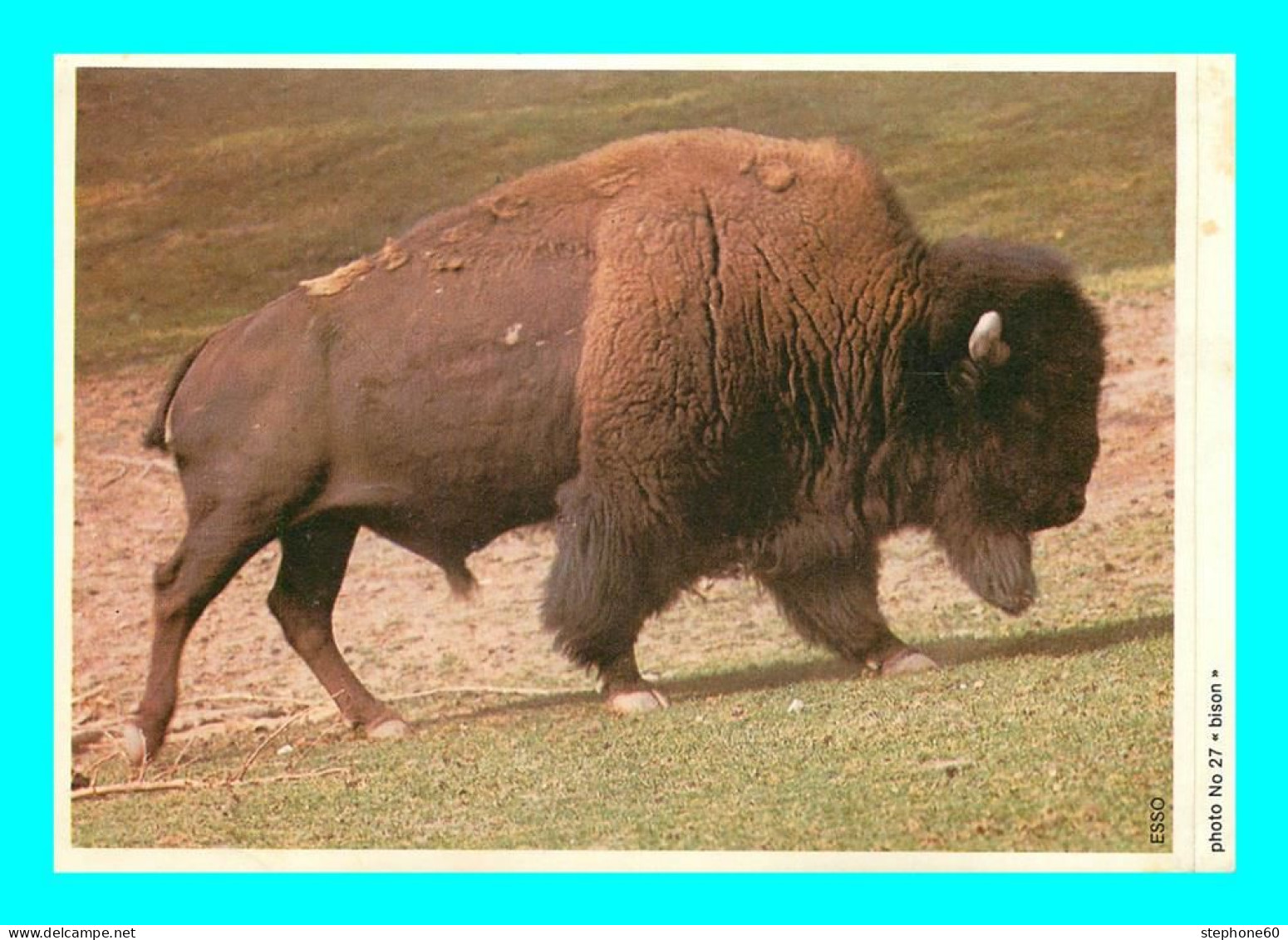 A950 / 657  Autocollant ESSO Photo N+27 Bison - PUB - Stickers