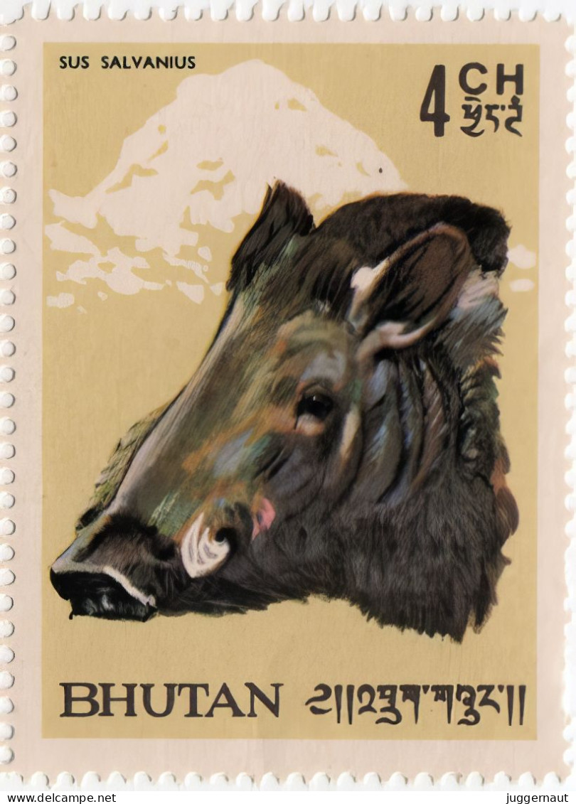 Pygmy Hog Postage Stamp 1966 Bhutan MNH - Gibier