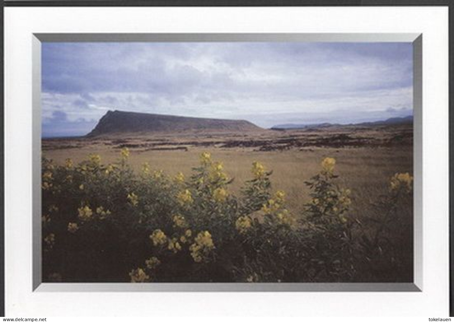 Easter Islands Rapa Nui Isla De Pascua Chile Pacific Oceania Polynesia - Rapa Nui