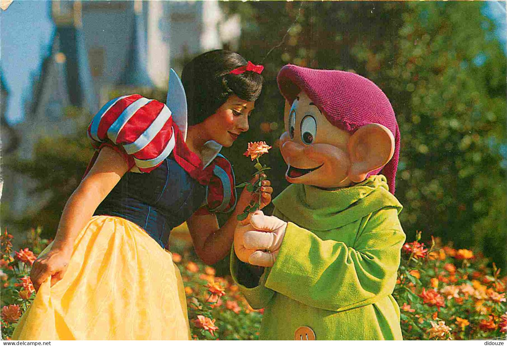 Parc D'Attractions - Walt Disney World Orlando - Blanche Neige Et Simplet - CPM - Voir Scans Recto-Verso - Disneyworld