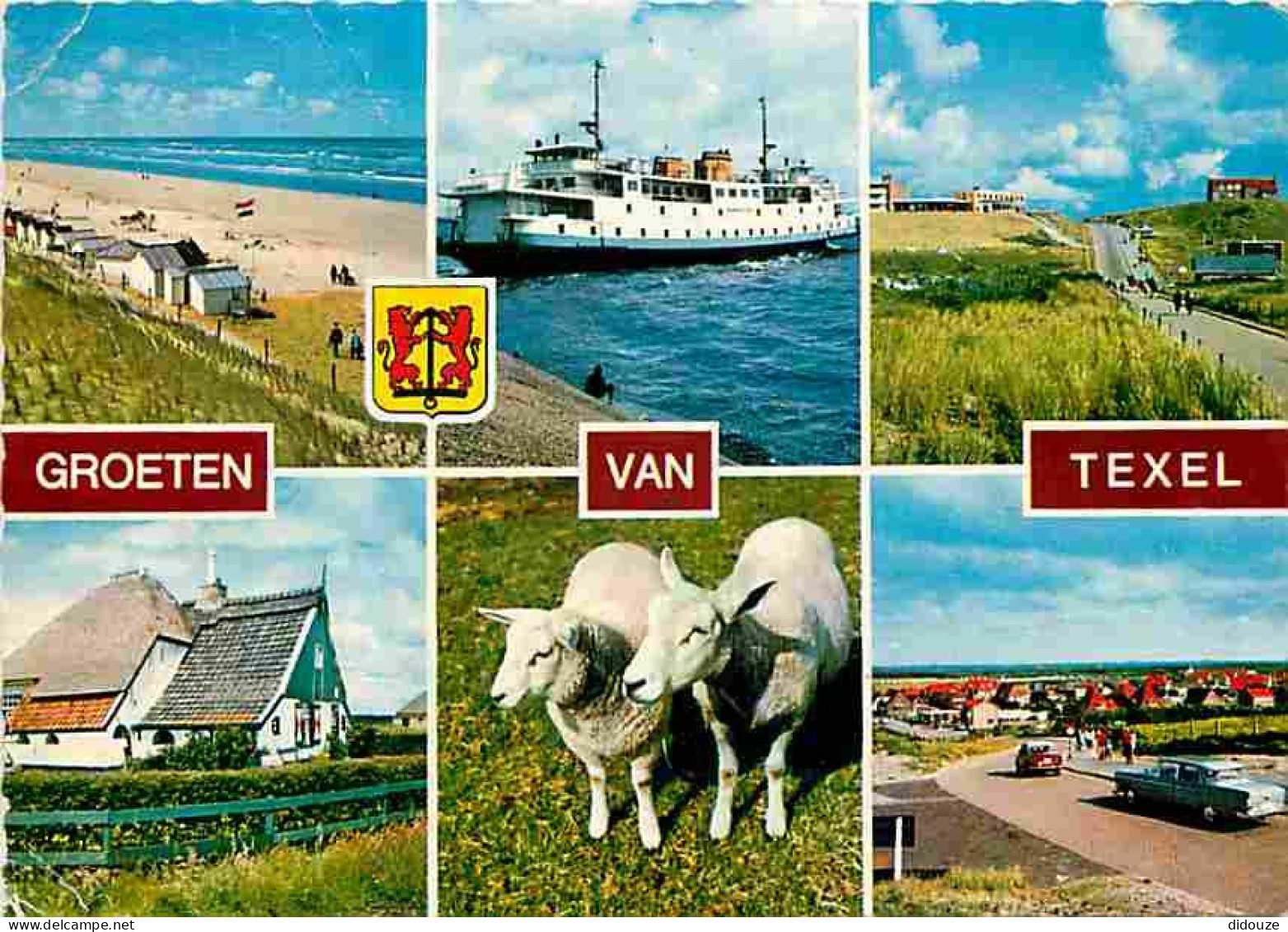 Pays Bas - Texel - Multivues - CPM - Voir Scans Recto-Verso - Texel
