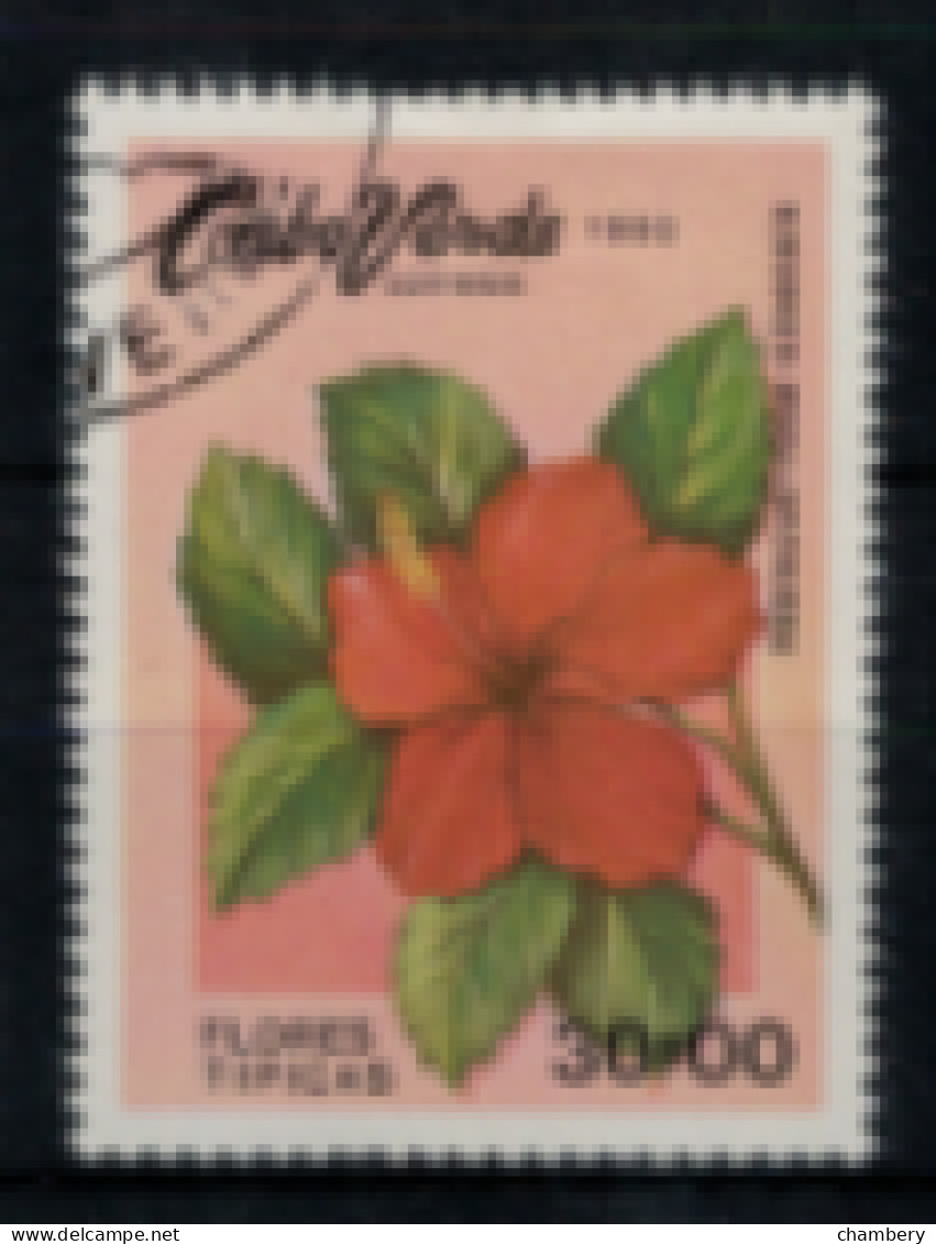 Cap Vert - "Fleurs Typiques : Hibiscus Rosa Siniensis"  Oblitéré N° 442 De 1980 - Kap Verde