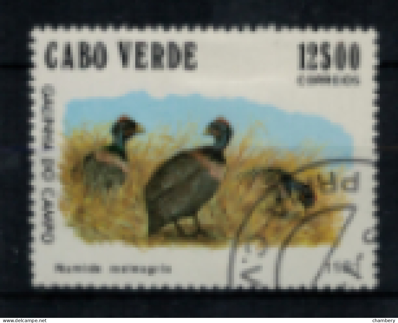 Cap-Vert - "Oiseau : Numida Meleagis" - Oblitéré N° 450/F De 1981 - Kaapverdische Eilanden