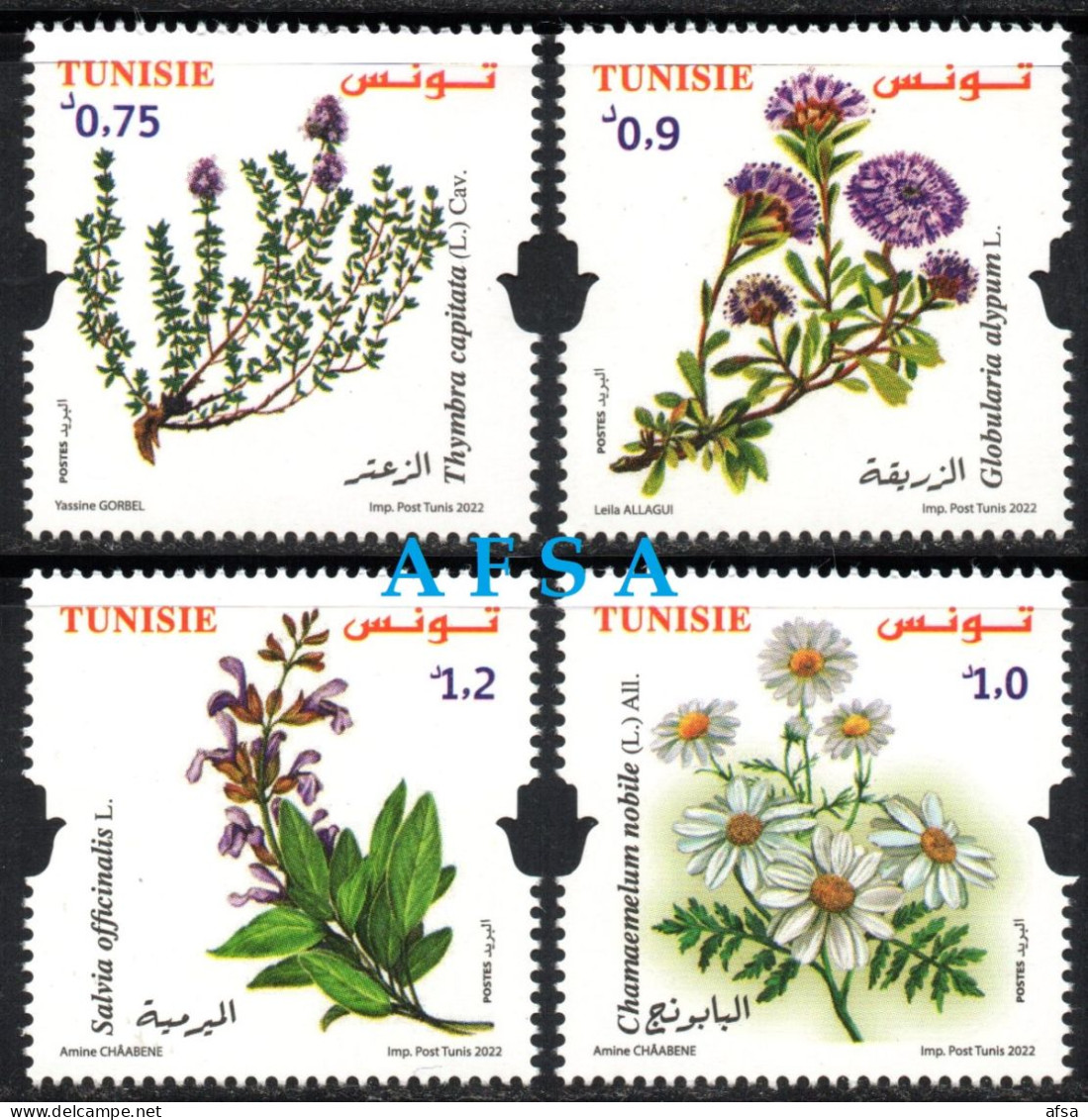 Tunisia 2022 -medicinal Plants (full Set) // Plantes Médicinales (série Complète) - Geneeskrachtige Planten