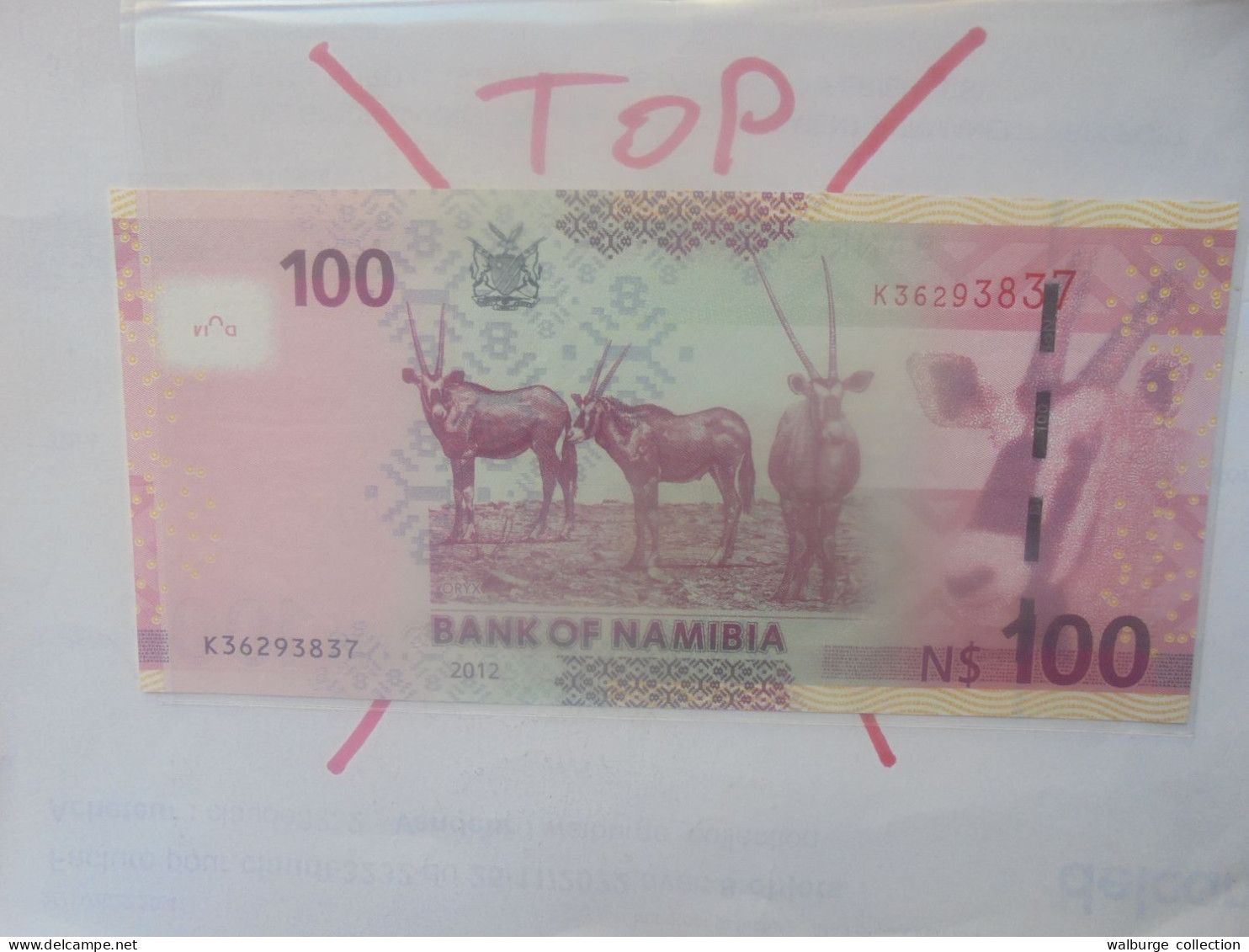 NAMIBIE 100$ 2012 Neuf (B.33) - Namibie