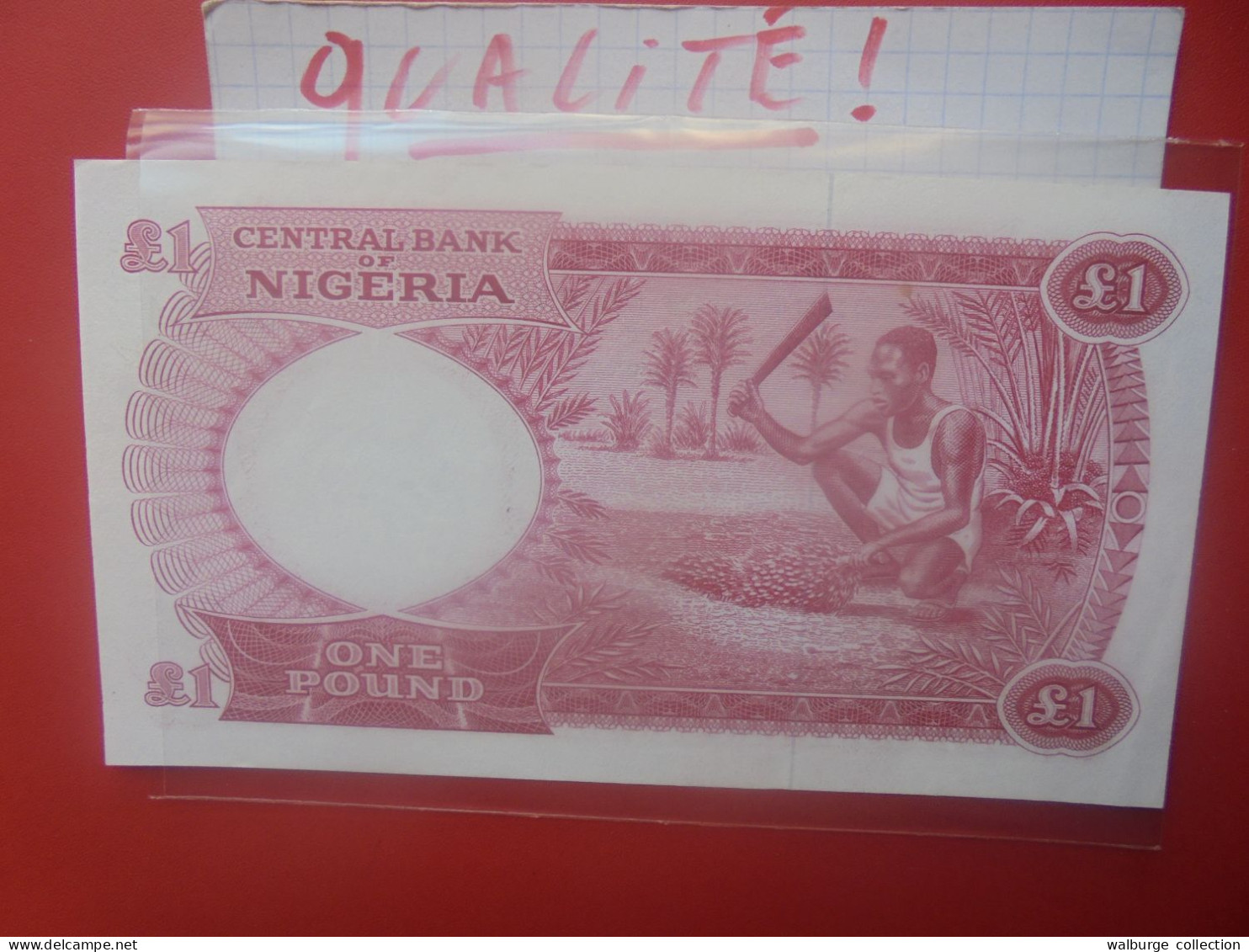 NIGERIA 1 POUND 1967 Circuler Belle Qualité (B.33) - Nigeria