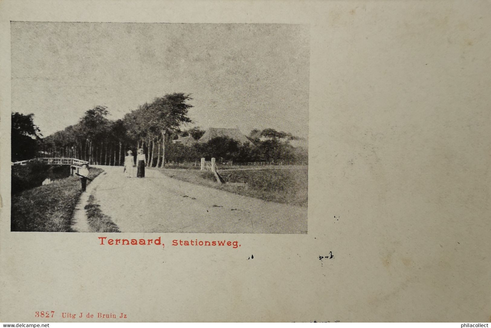 Ternaard (Frl.) Stationsweg Ca 1900 - Autres & Non Classés