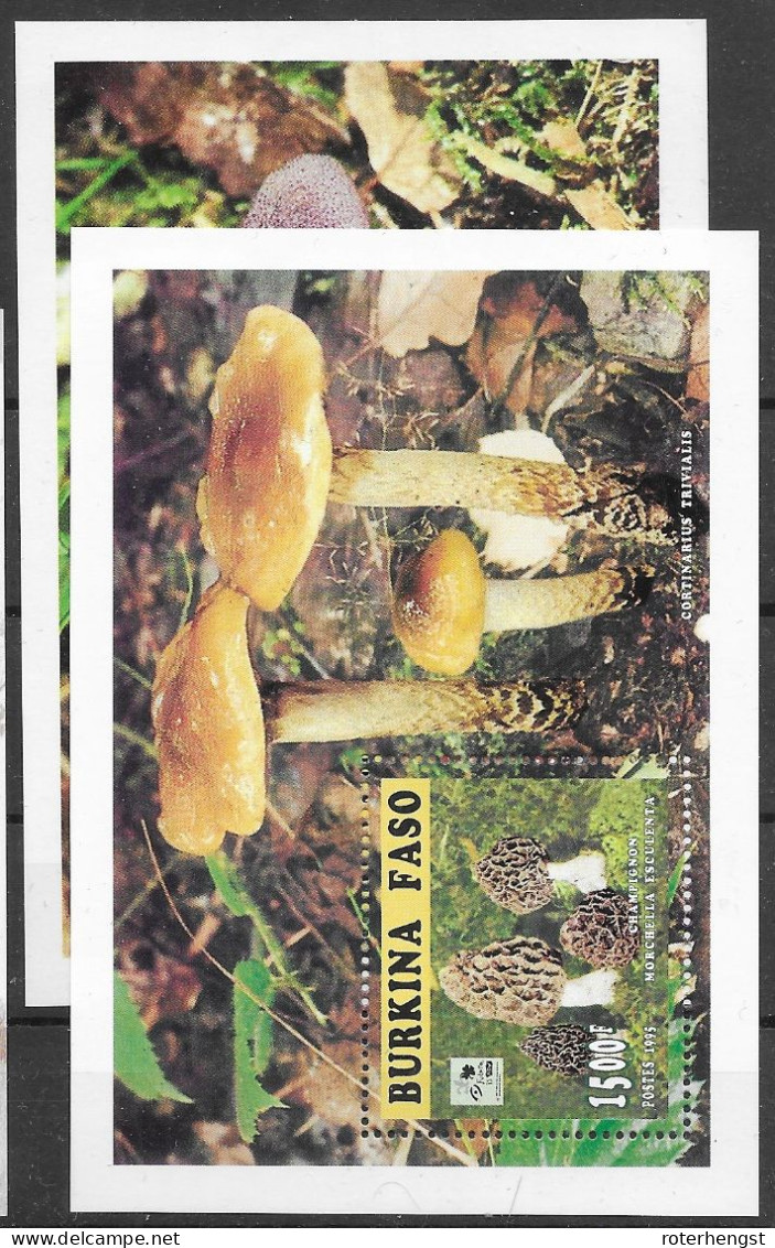 Burkina Faso Mnh ** Champignons Mushrooms Sheets 1996 - Burkina Faso (1984-...)