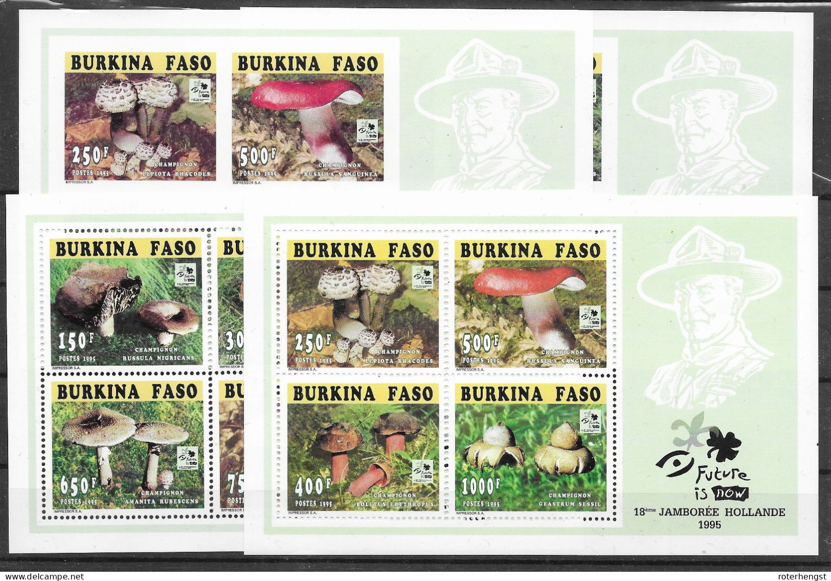 Burkina Faso Mnh ** Champignons Mushrooms Sheets 1996 Perf And Imperf 60 Euros - Burkina Faso (1984-...)