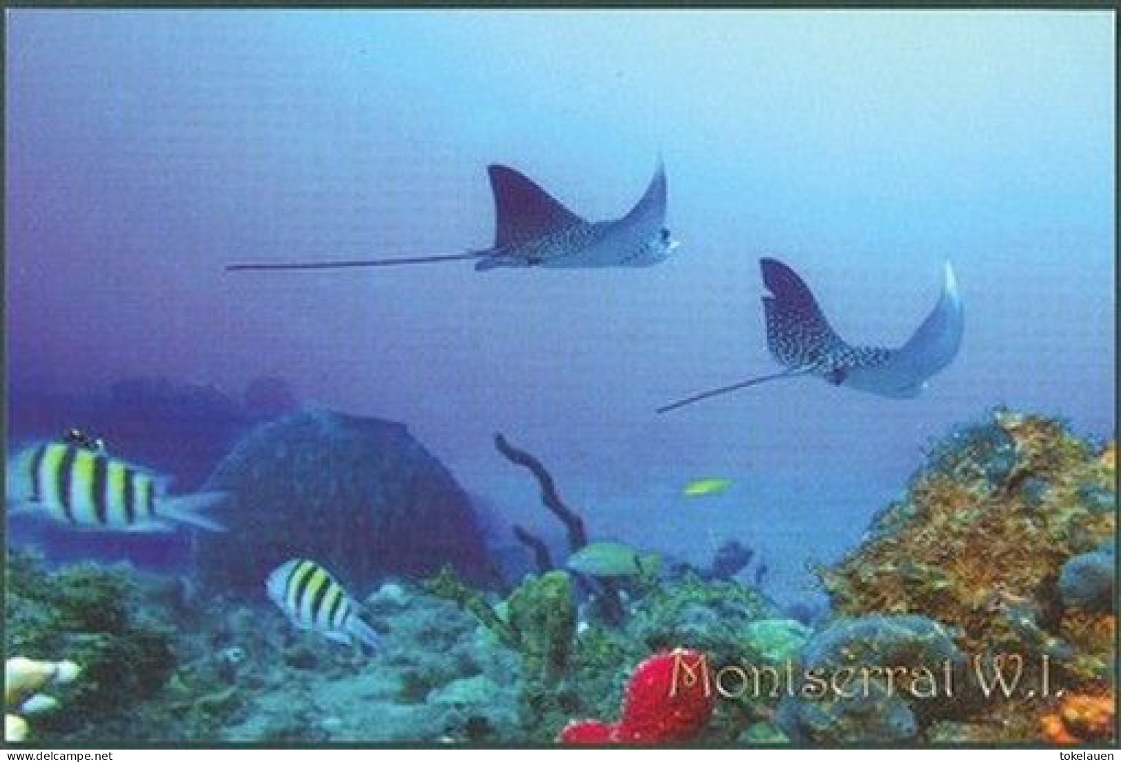 Montserrat Island West Indies Caribbean Sea Caribic Antilles - Other & Unclassified