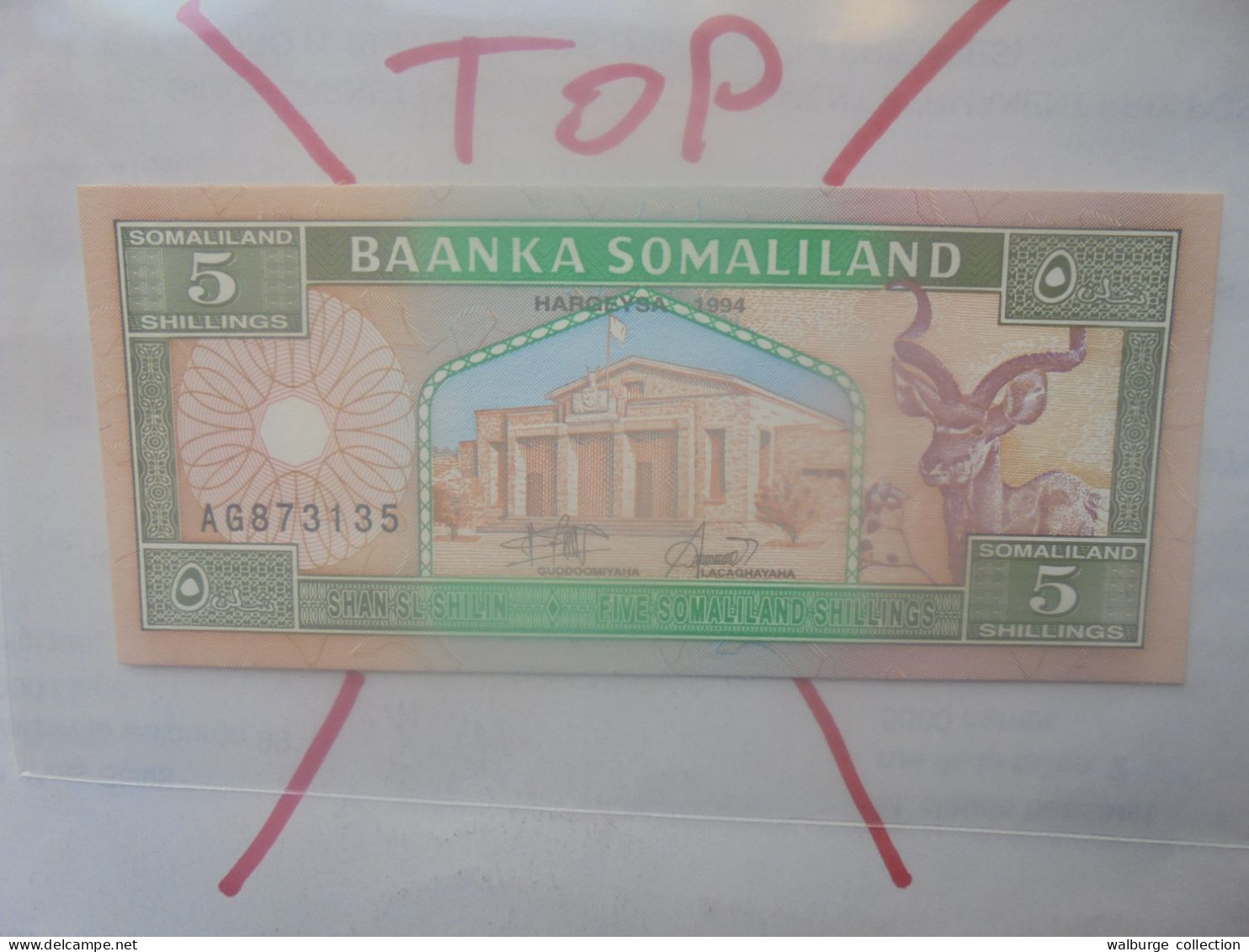 SOMALILAND 5 SHILLINGS 1994 Neuf (B.33) - Somalia