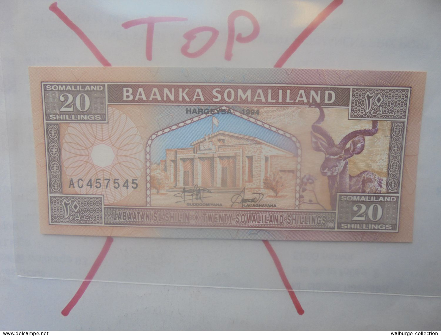 SOMALILAND 20 SHILLINGS 1994 Neuf (B.33) - Somalie