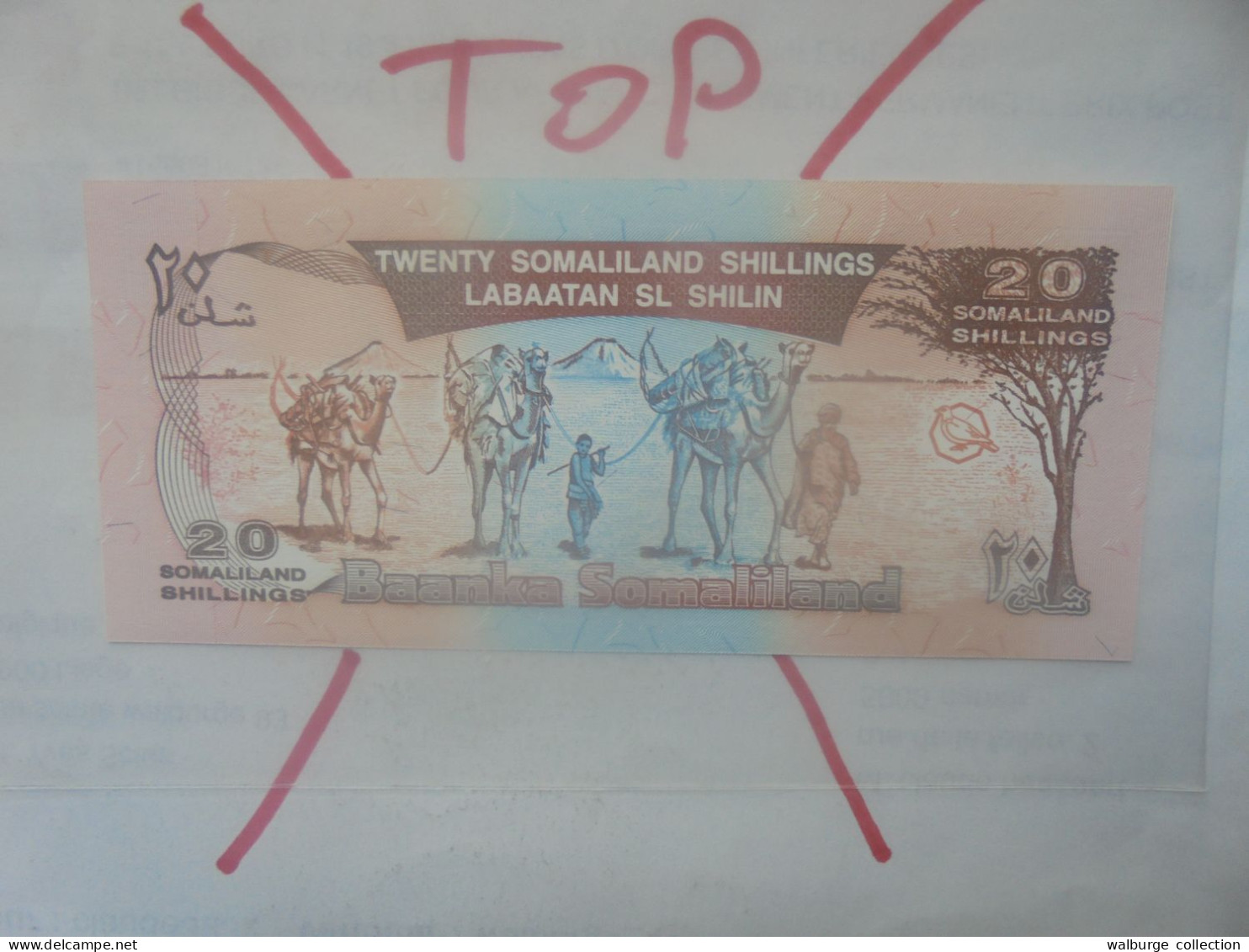 SOMALILAND 20 SHILLINGS 1994 Neuf (B.33) - Somalie