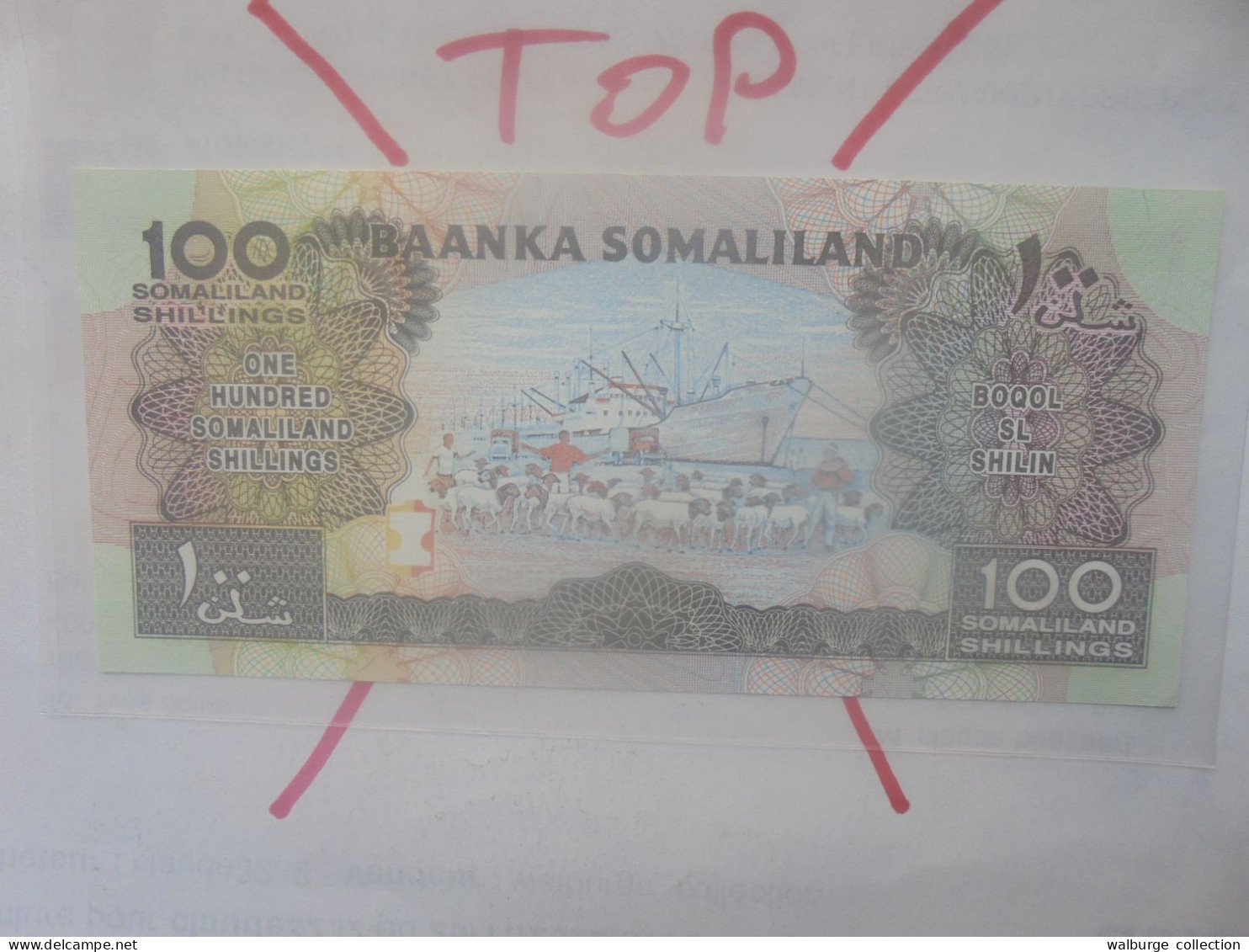 SOMALILAND 100 SHILLINGS 1996 Neuf (B.33) - Somalie